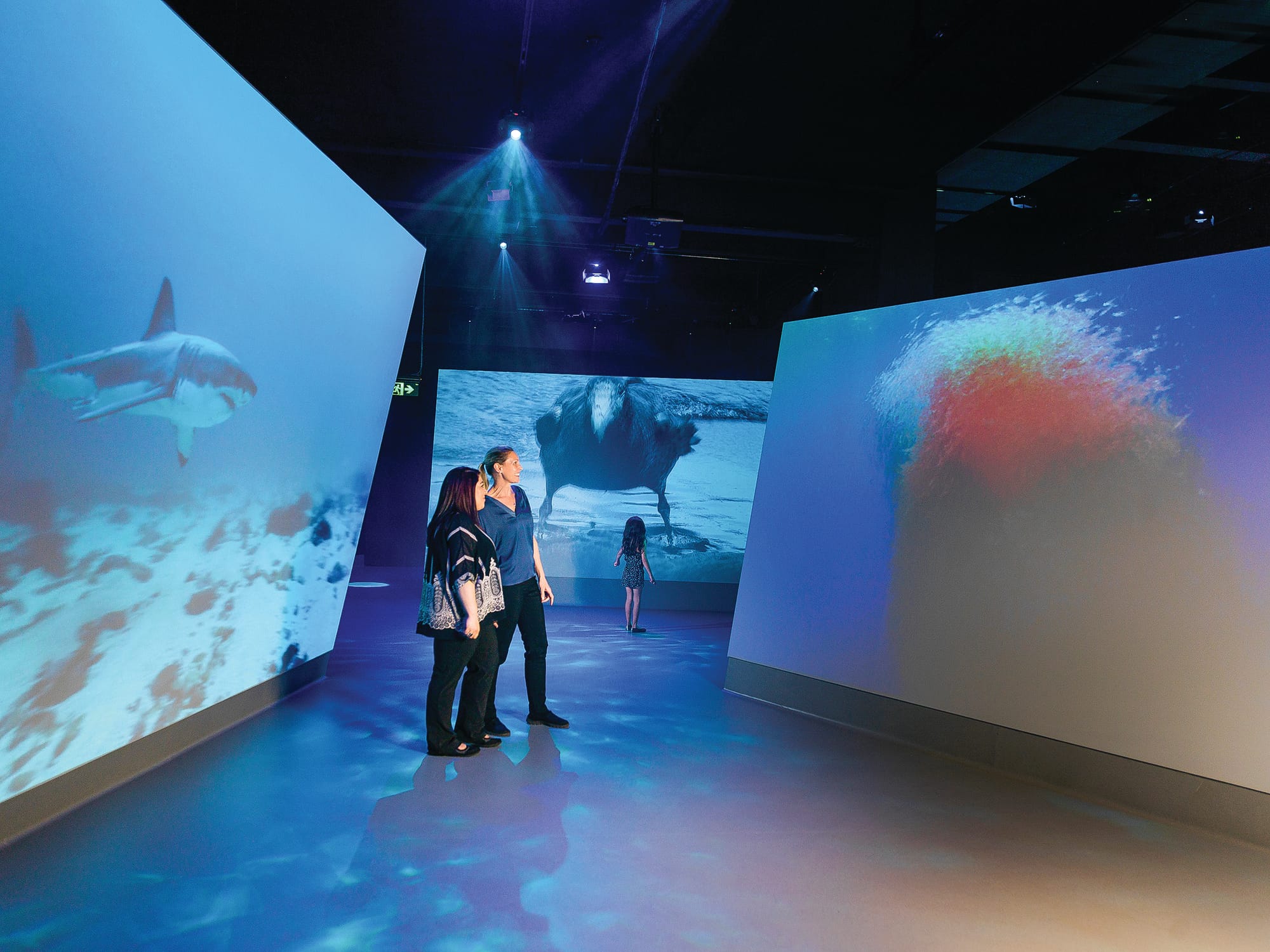 Frozen out - Antarctic Journey closes