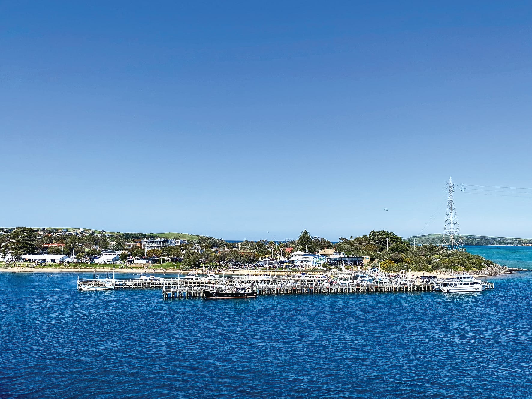 A magnificent weekend! TIDAL Seafood festival success