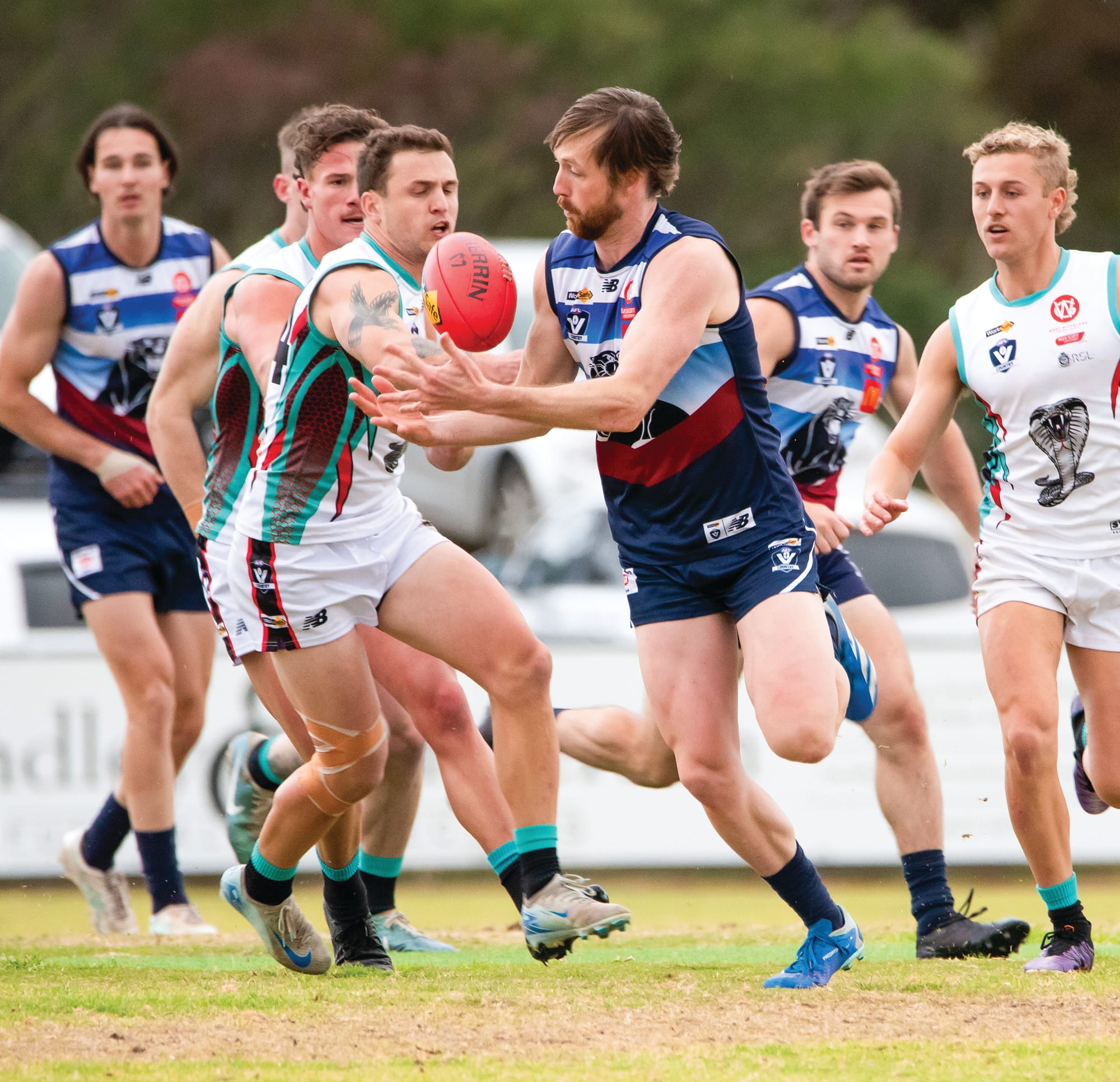 Killy Bass battle it out in wet conditions