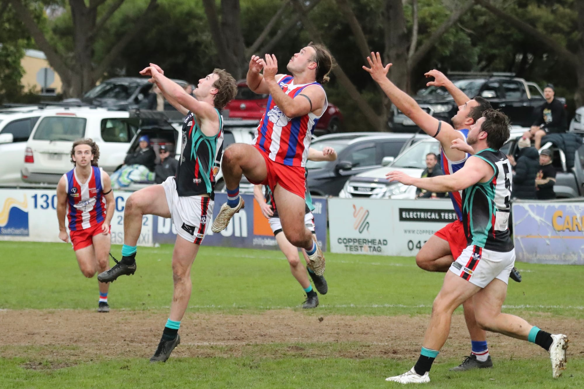 Bulldogs overpower Cobras in kennel clash - Seniors