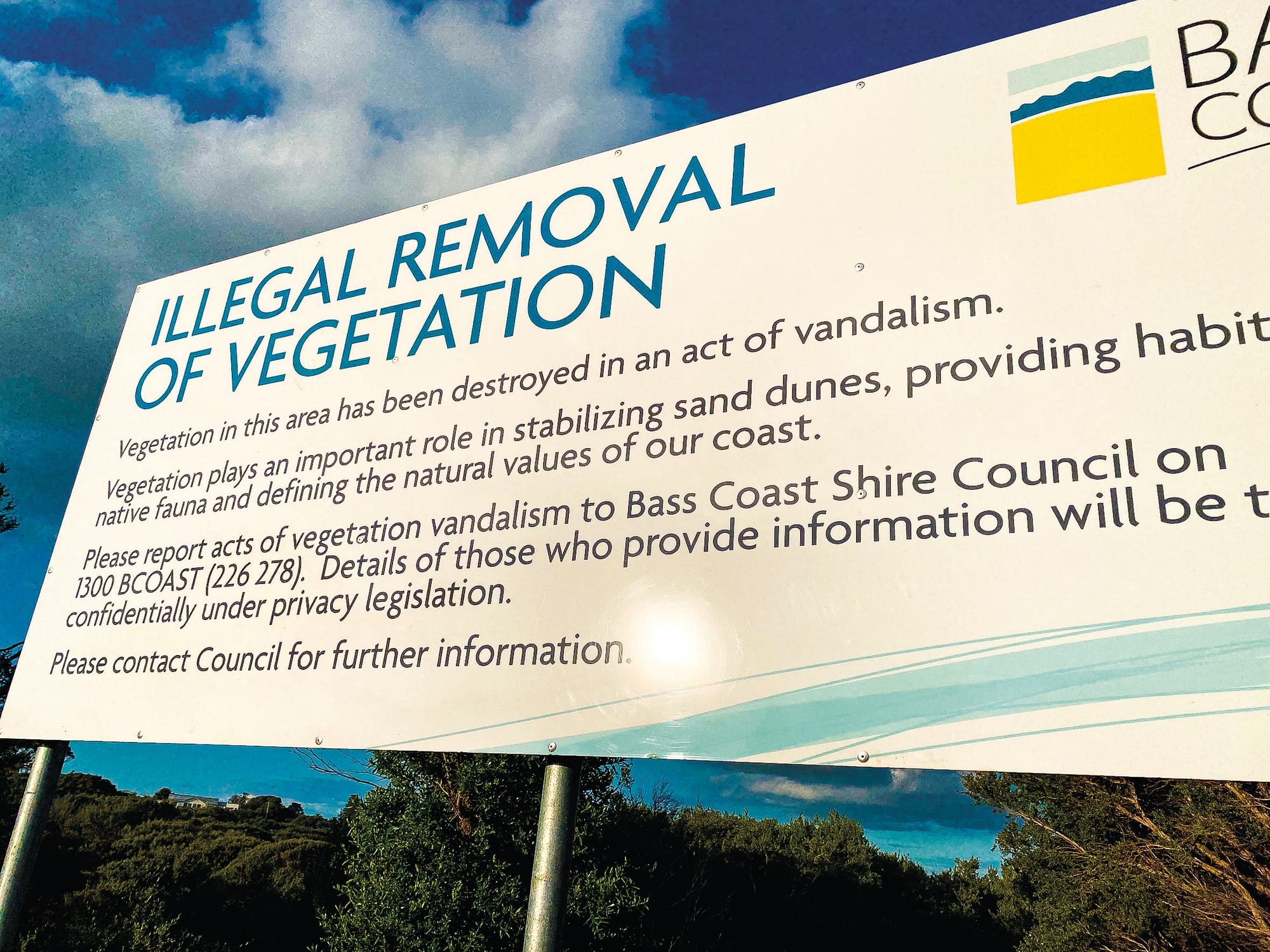 Clampdown on illegal beach tree removal