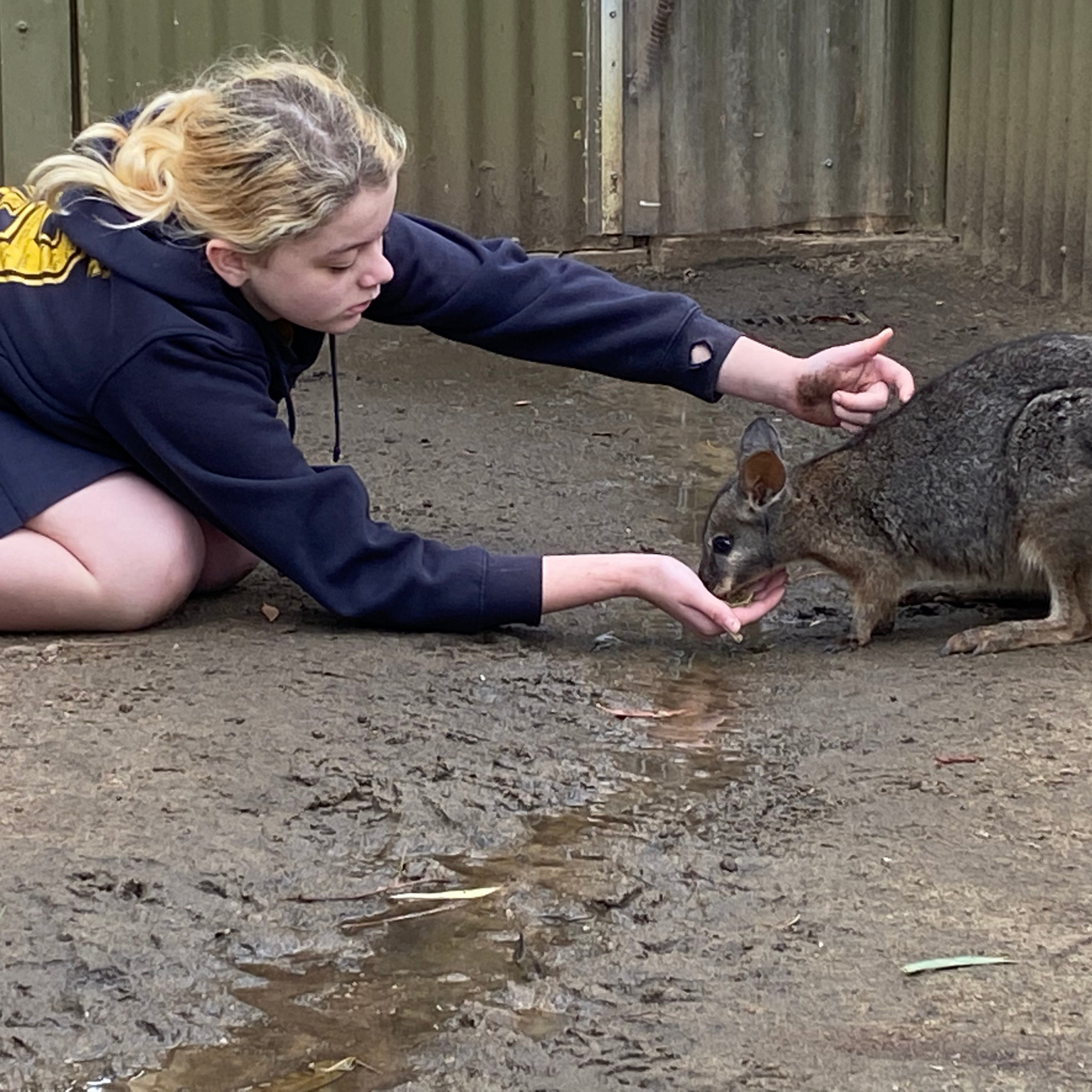 Kids and animals thrive