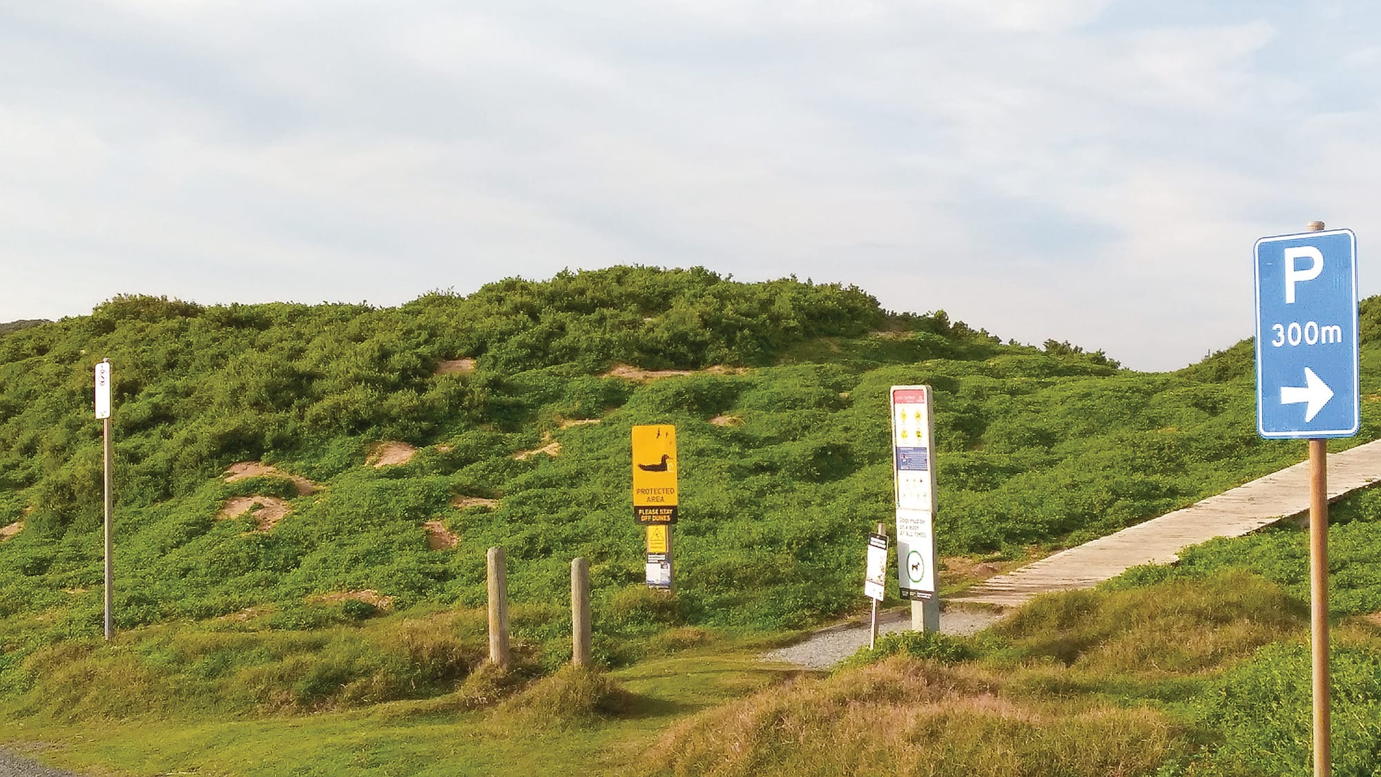 Shearwater destruction if scheme proceeds