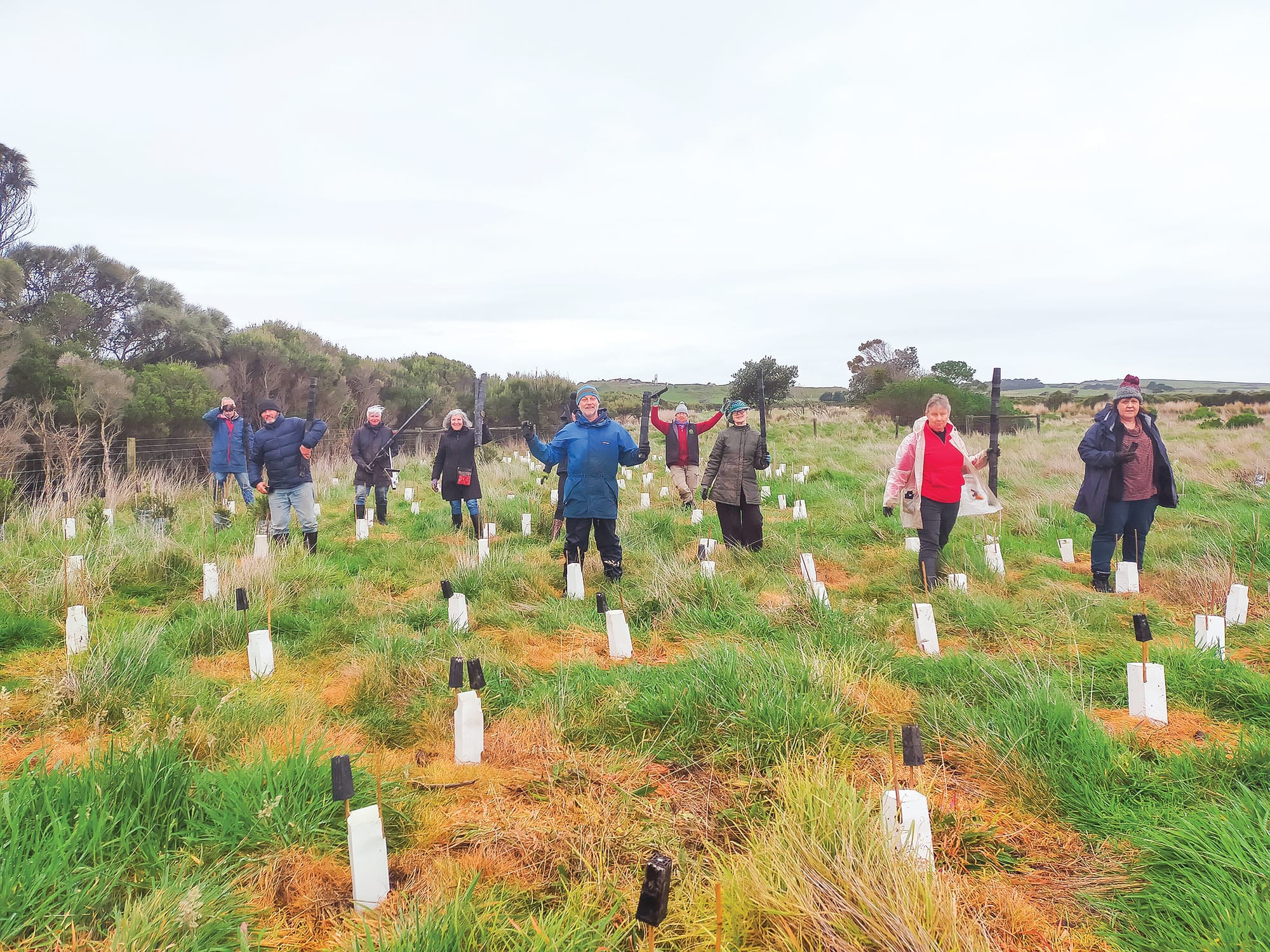 Landcare in limbo after budget announcement