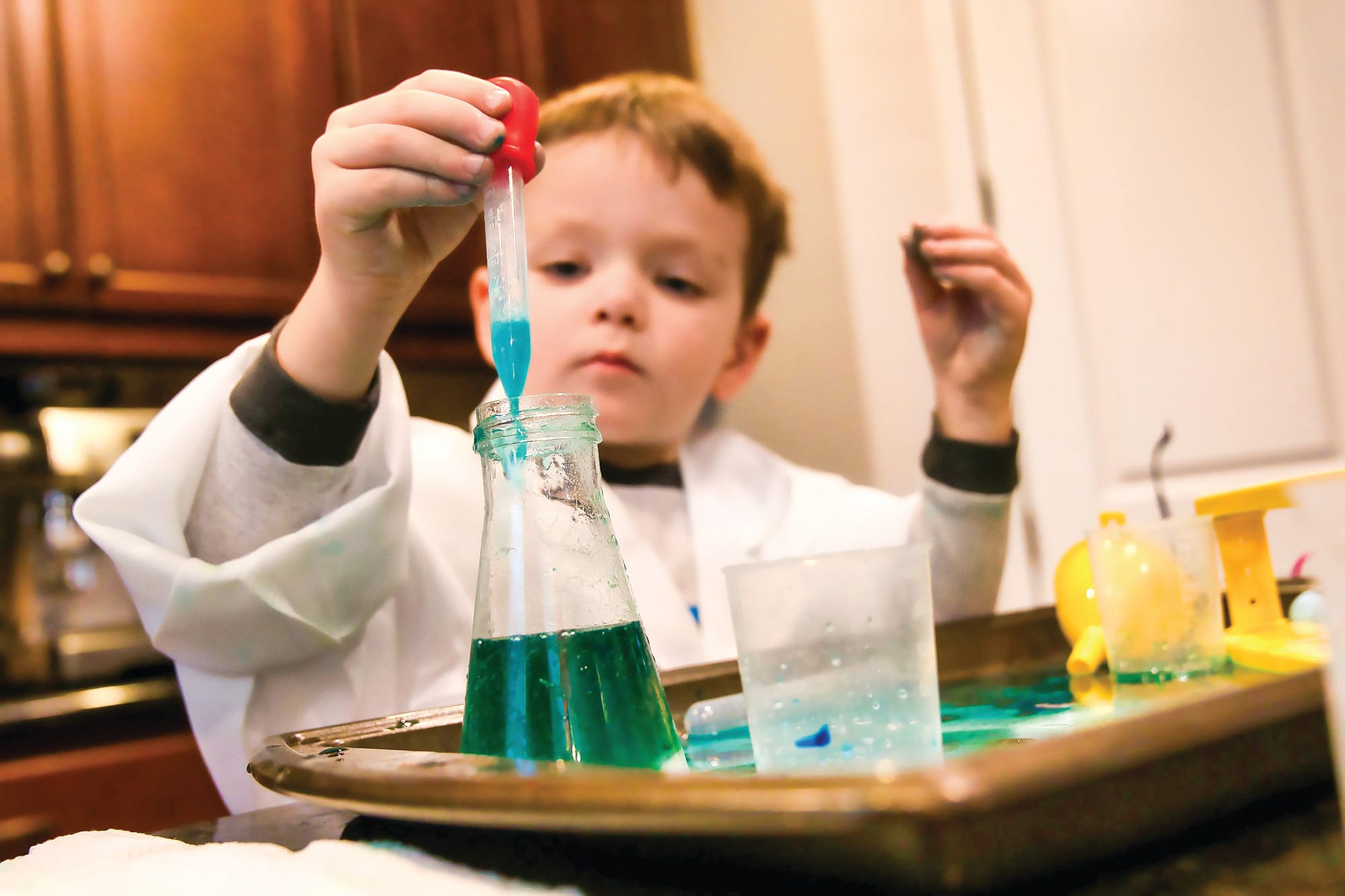 Discover science at Gippsland festival