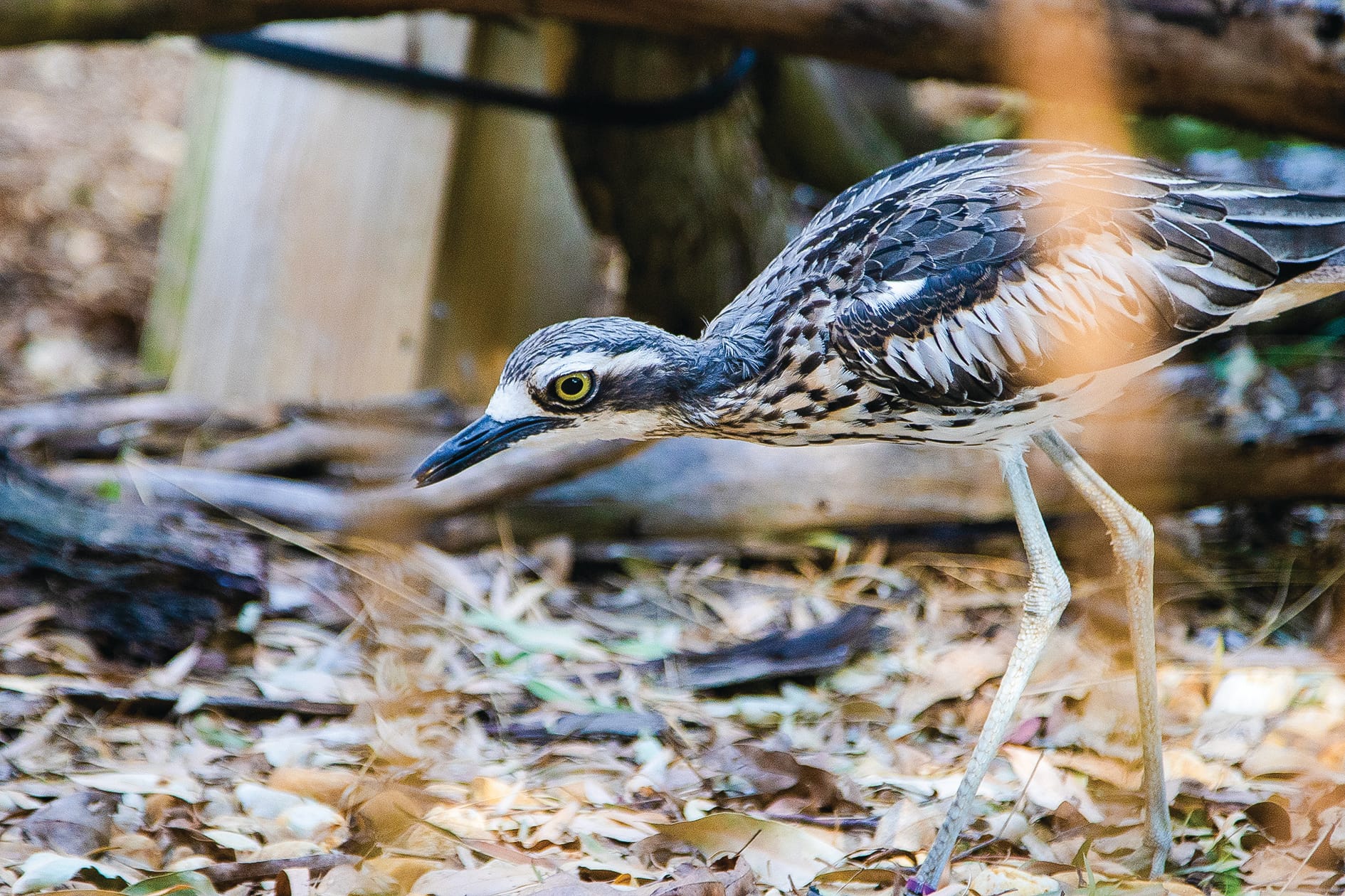 Know Your Nature Parks - Spring 2024
