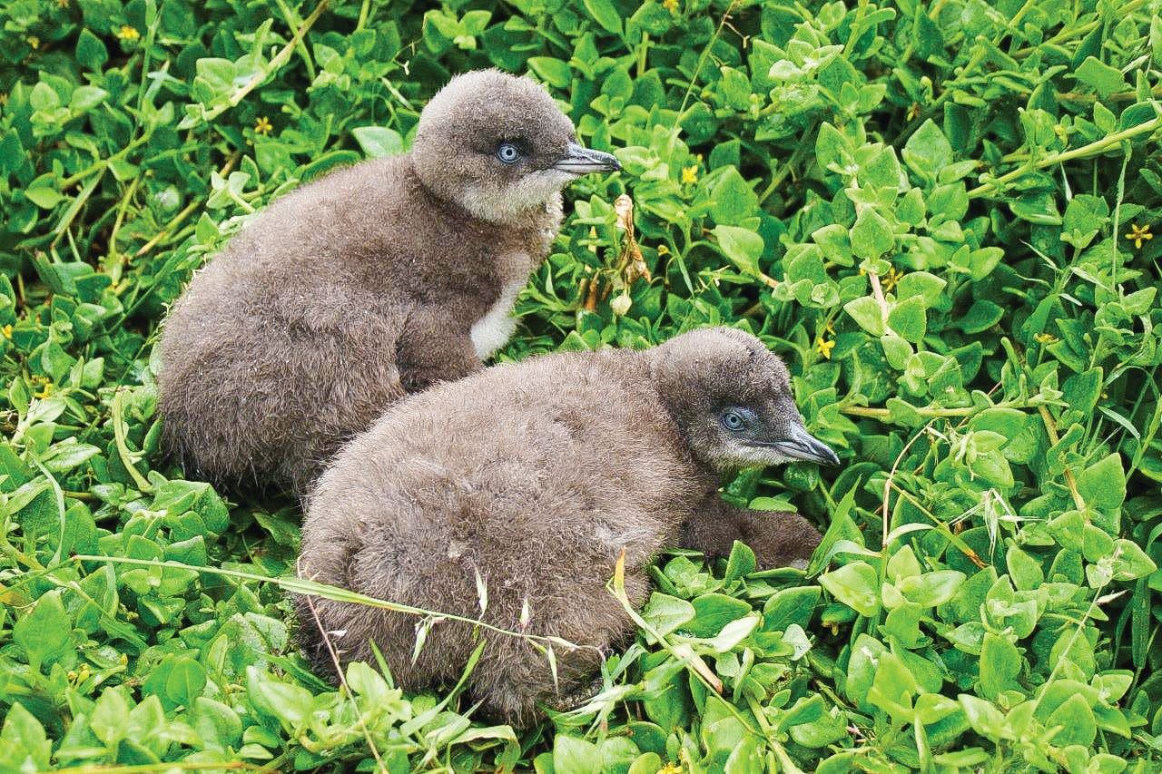 Nature Parks releases report, a year late