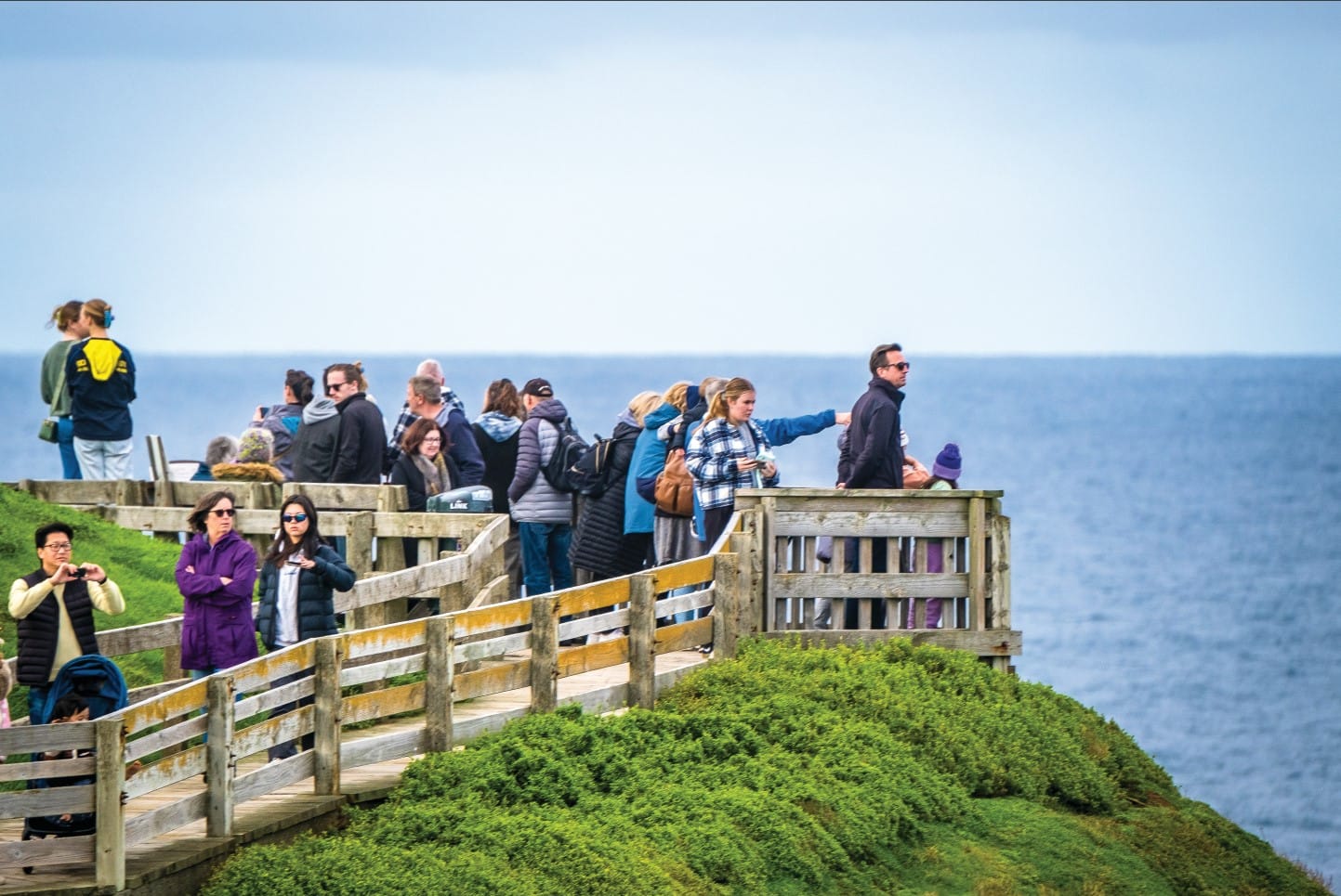 Have a whale of a time at this year’s festival