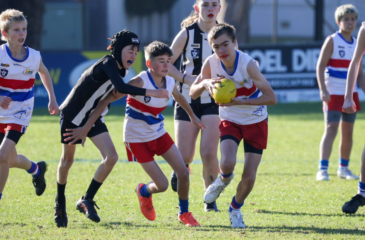 Bulldog juniors deliver skill, spirit and teamwork for the Blue's