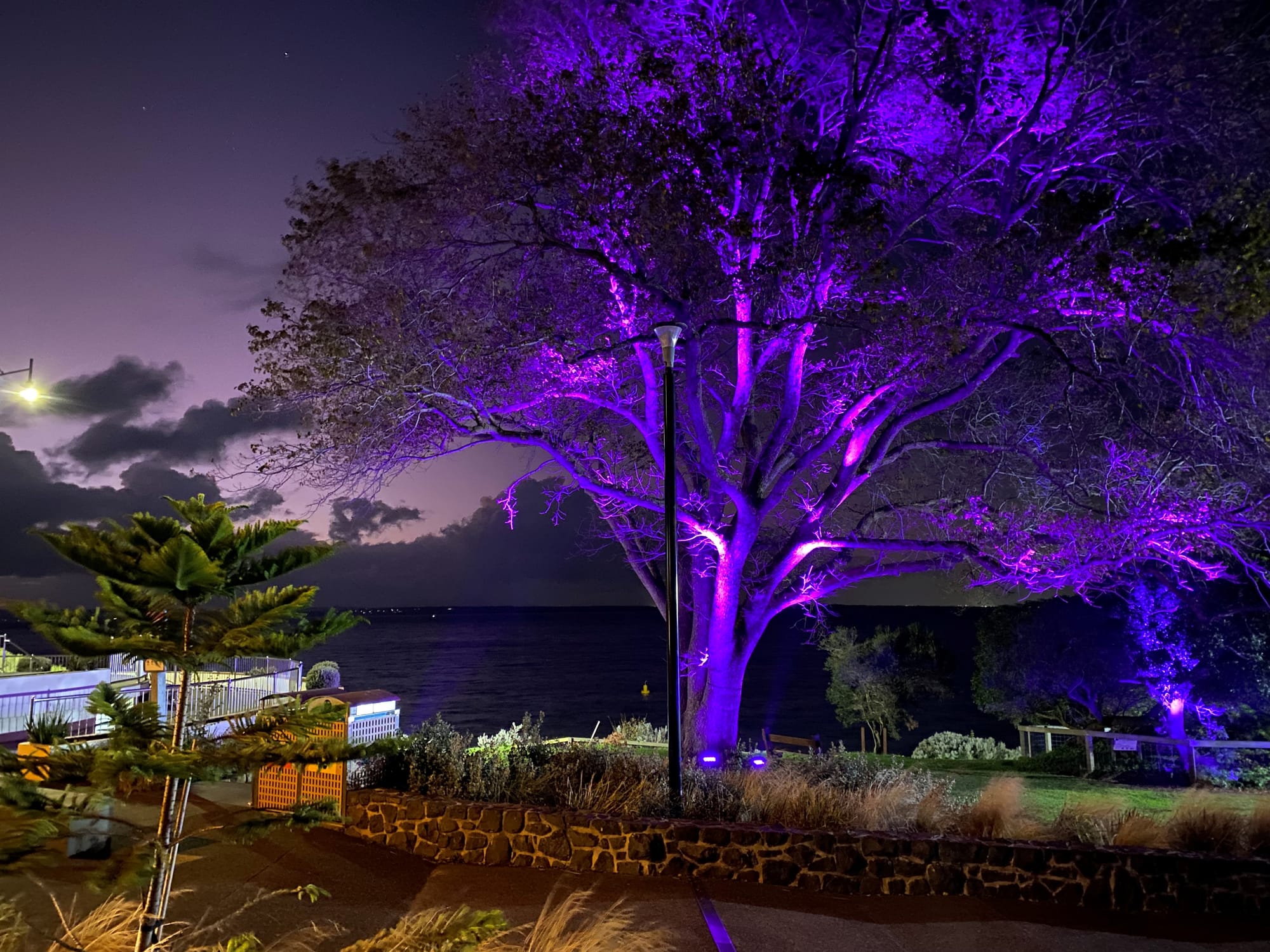 Change for Sam turns Jetty Triangle purple