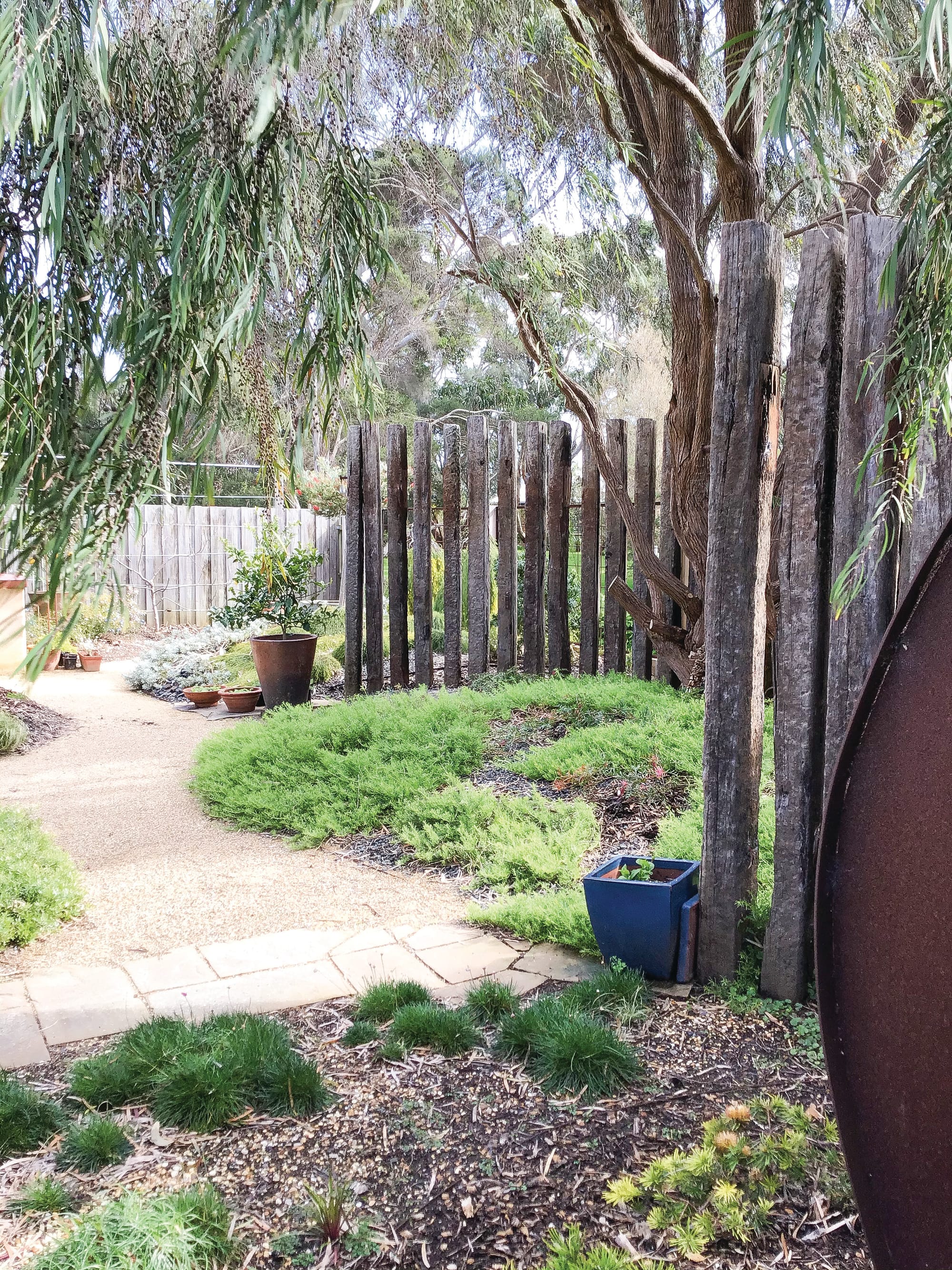 Open Garden this Sunday