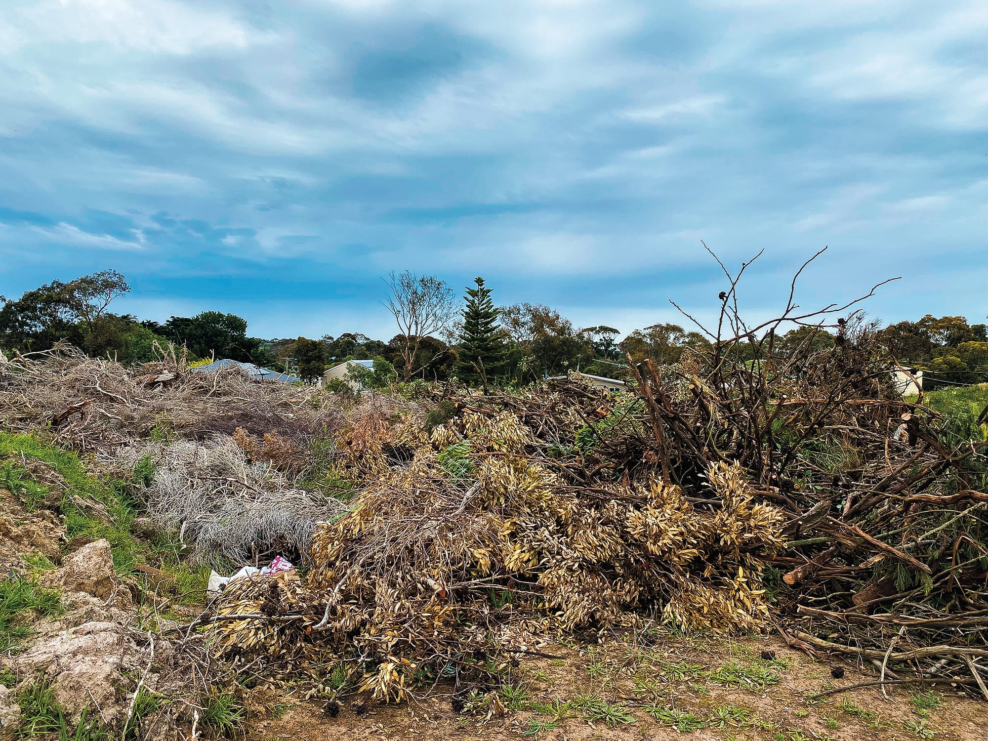 How many fines did the shire issue last year?