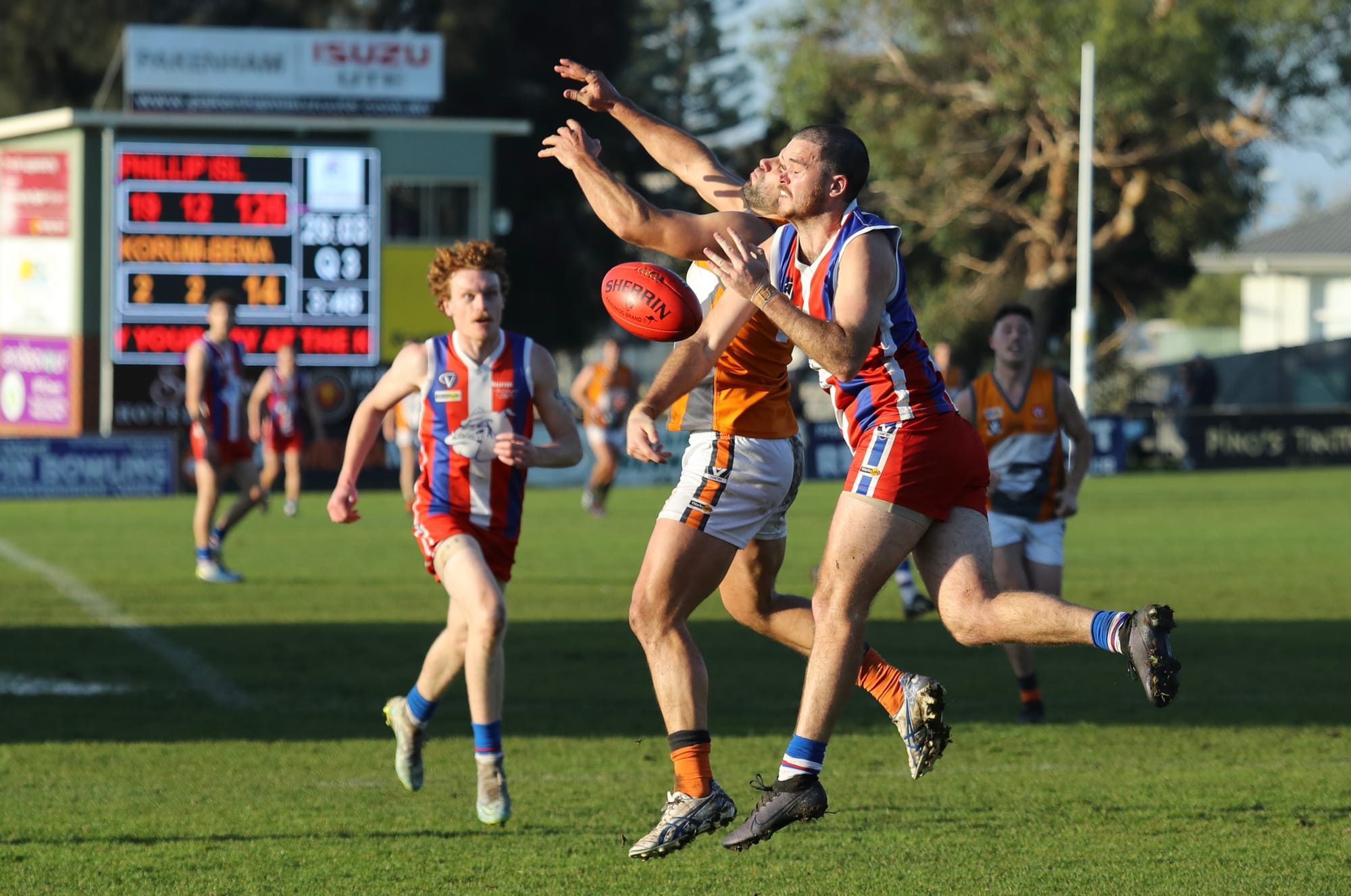 Bulldogs brings Giants down to size