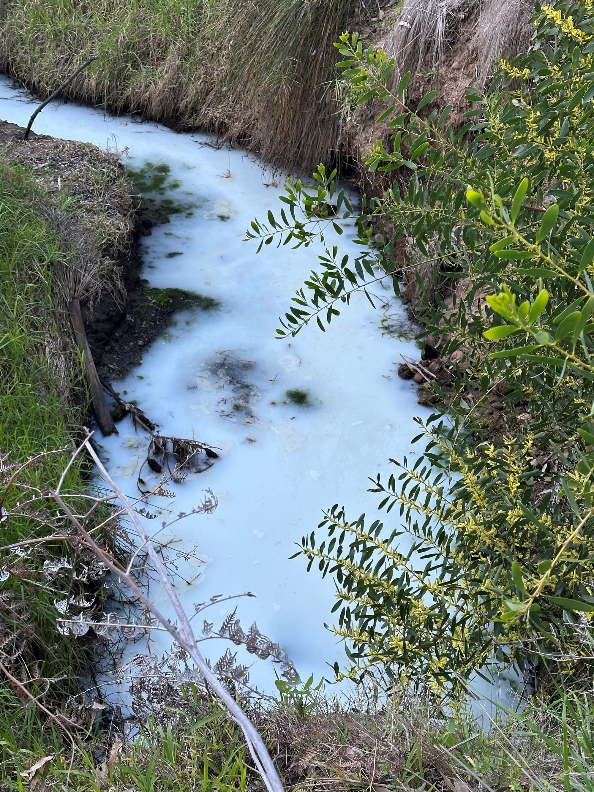 Who polluted and what is the pollution running into the bay?