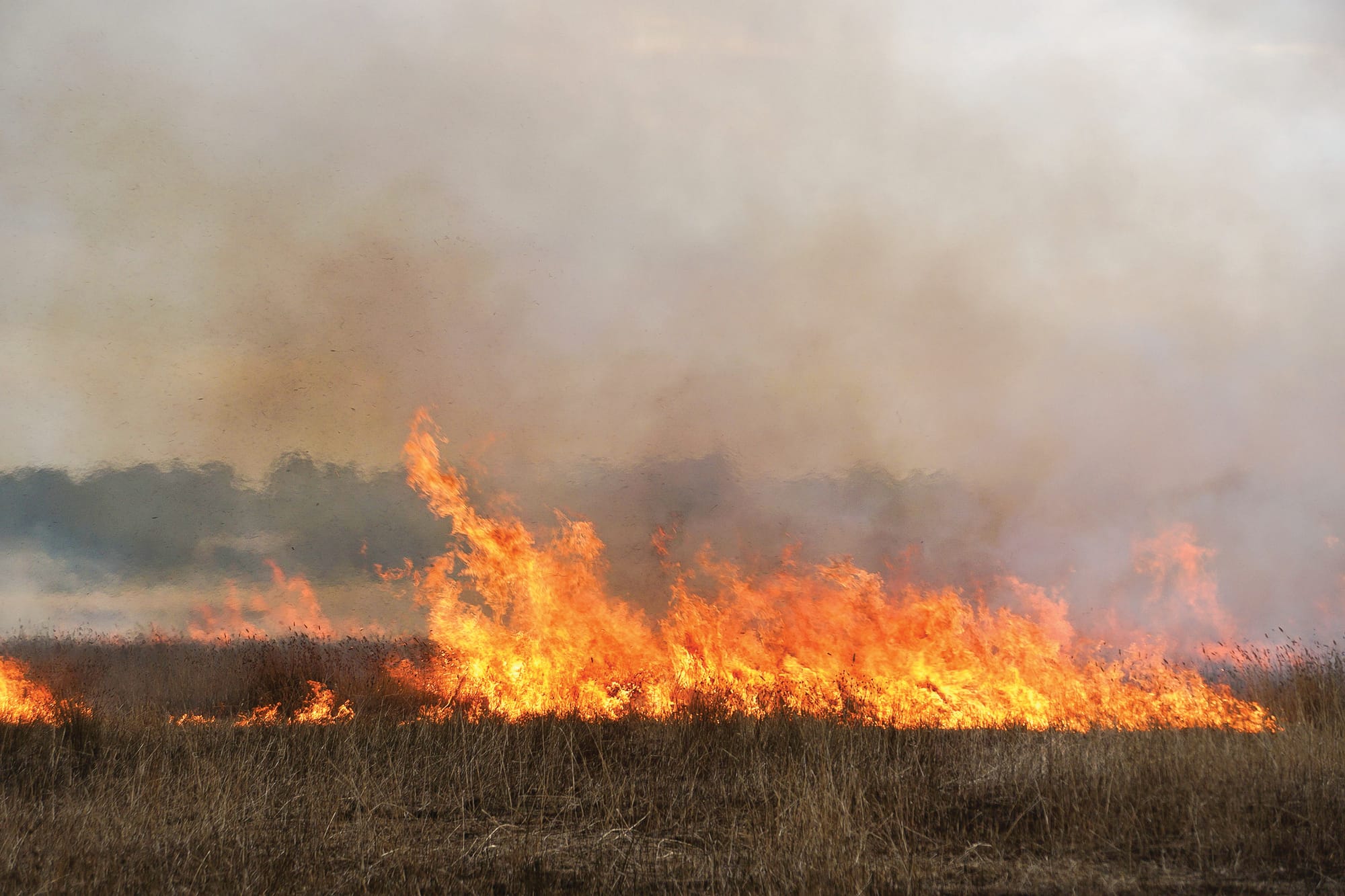 Reduce risk this autumn, register your burn-off online