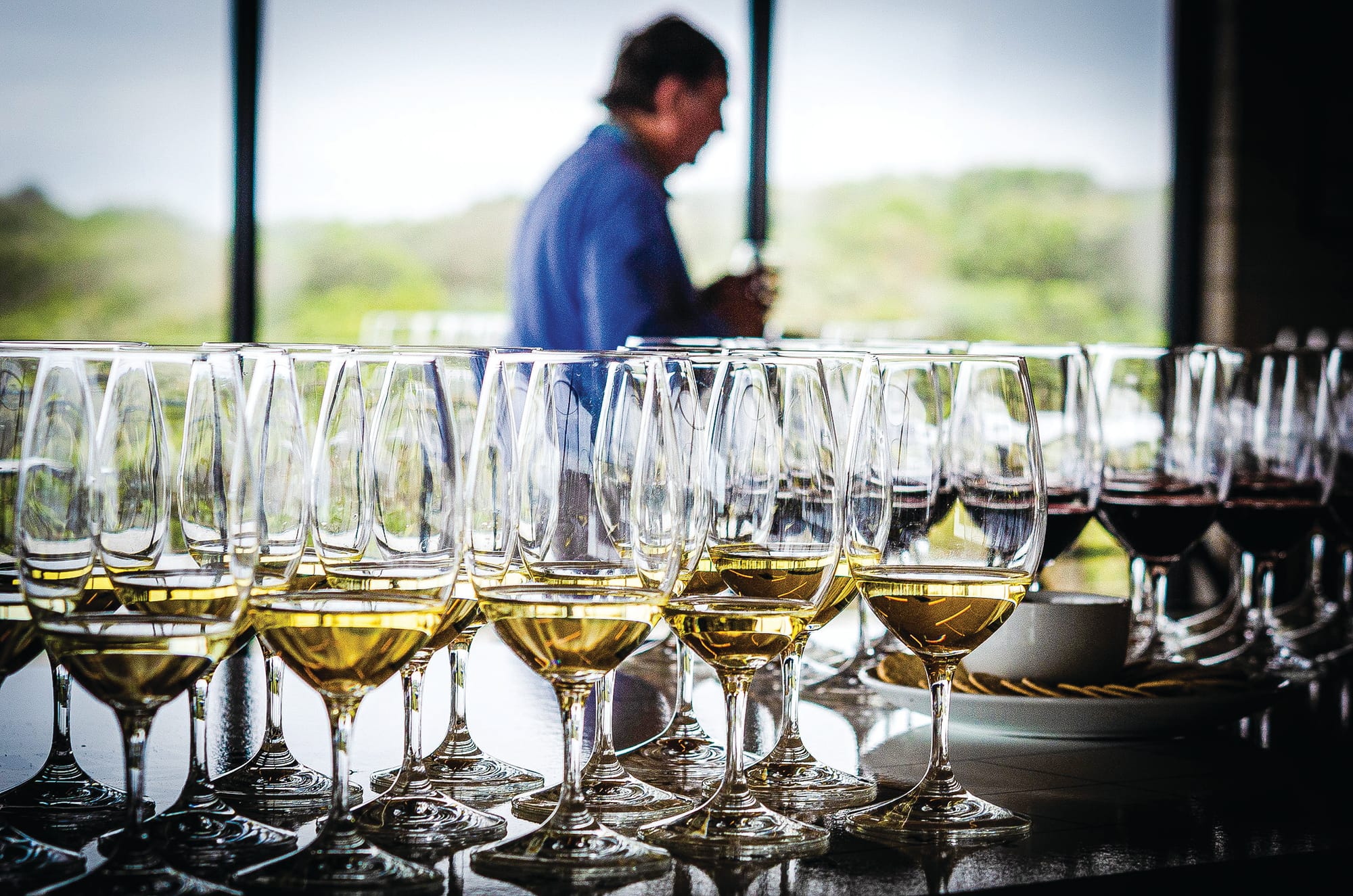 Local wineries in running for awards