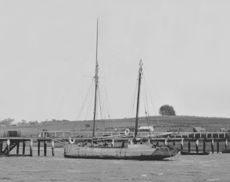 The Swan