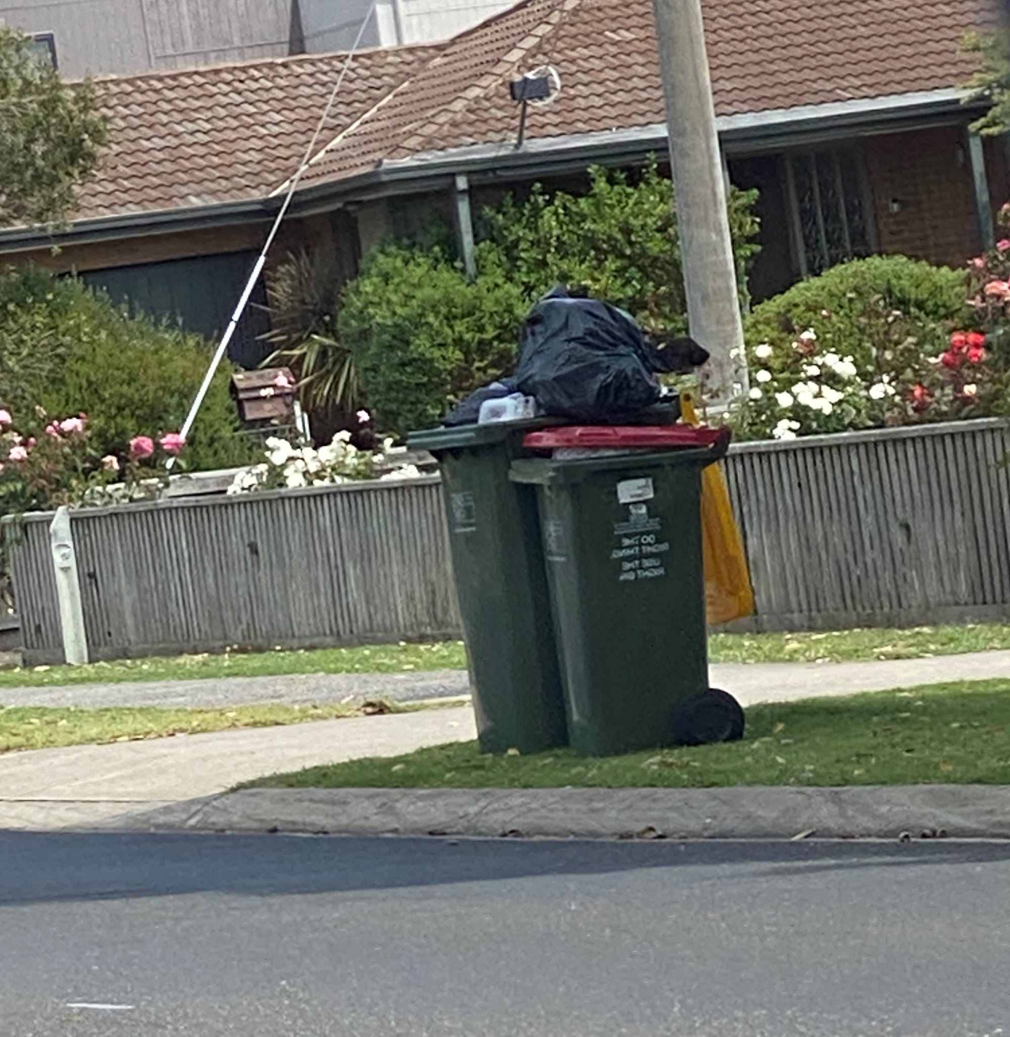 Holiday renters to pay for more bin collections?