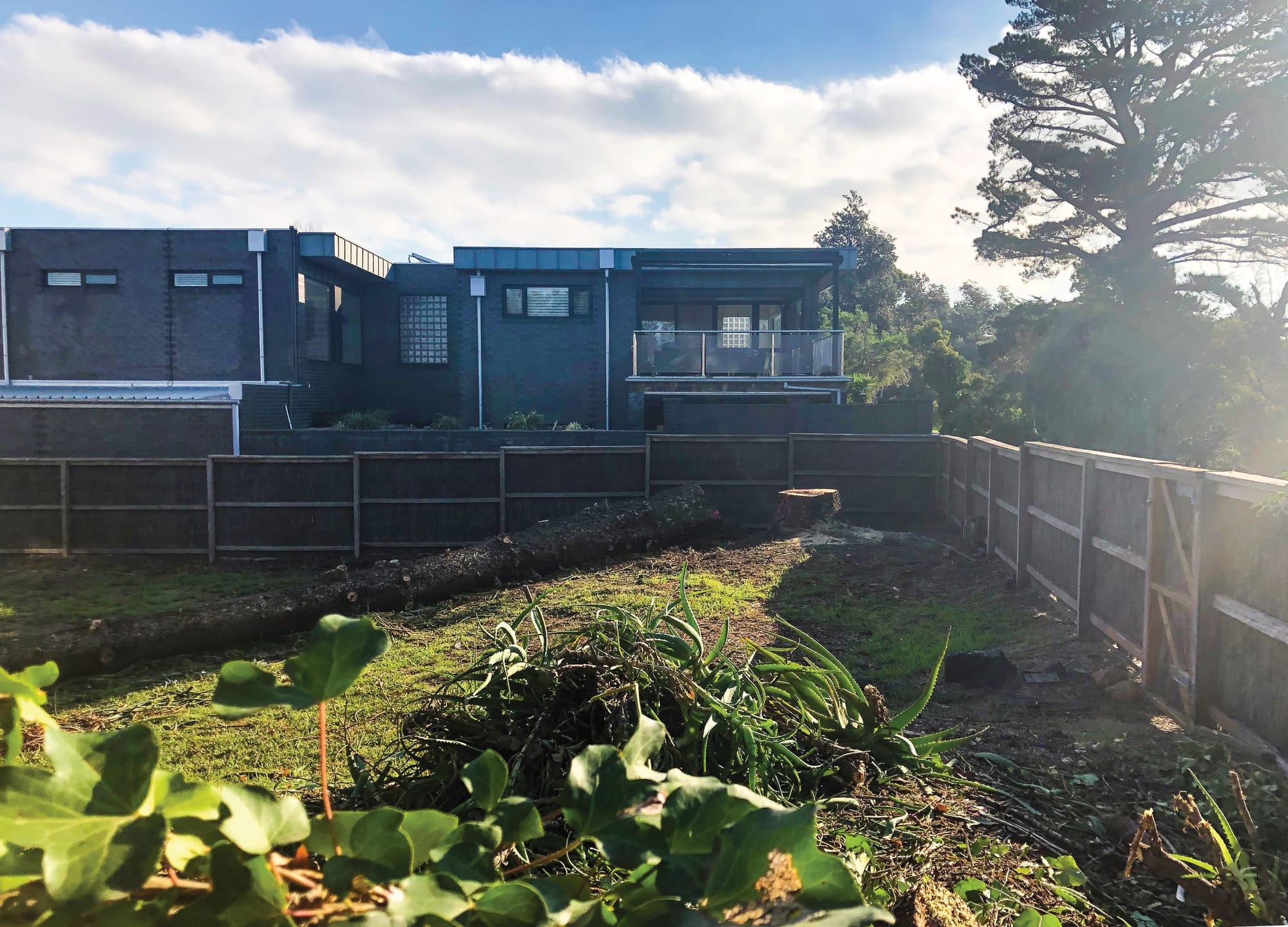 Landowners on notice over tree lop ban