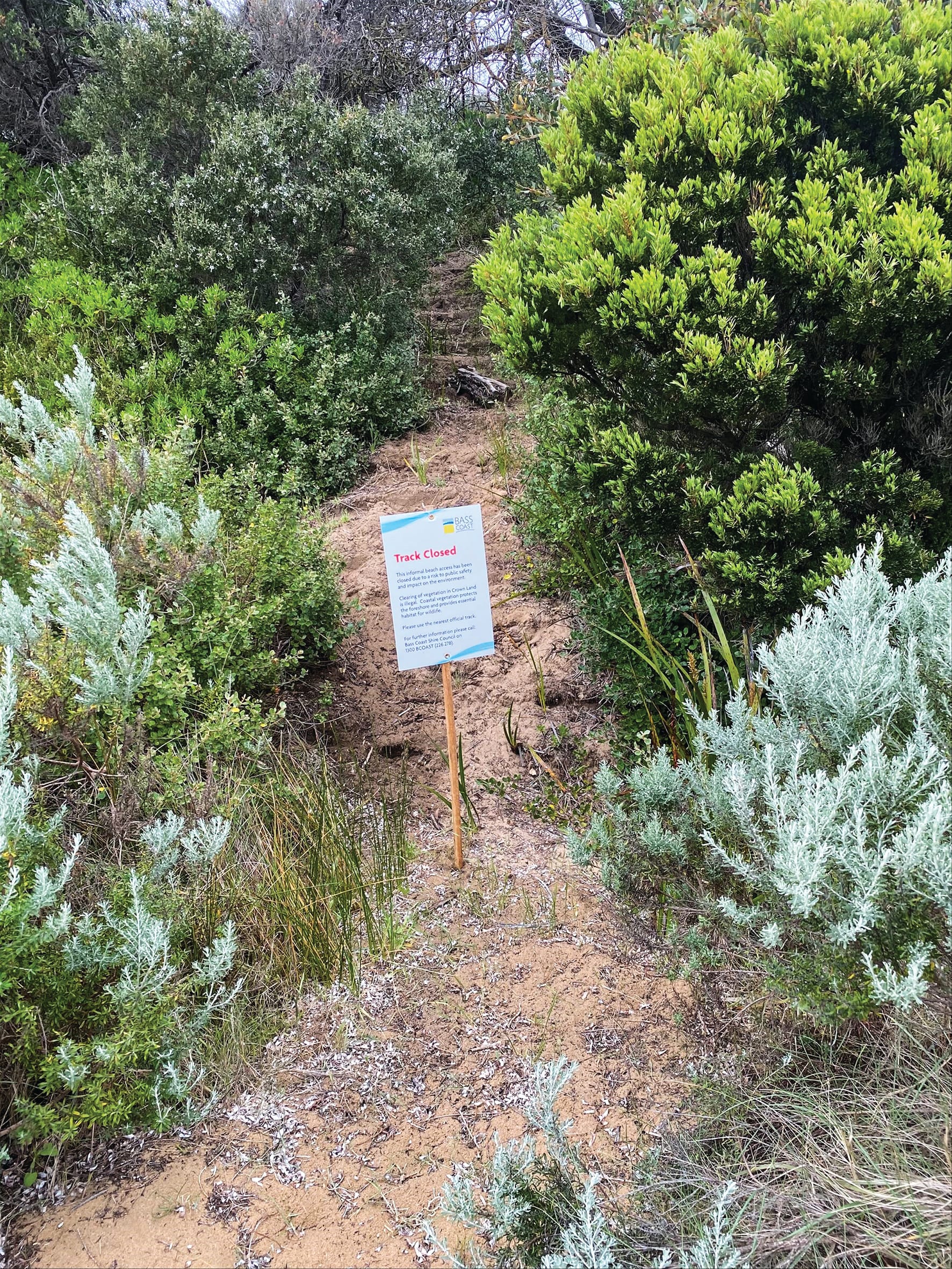 Clampdown on Ventnor foreshore encroachment