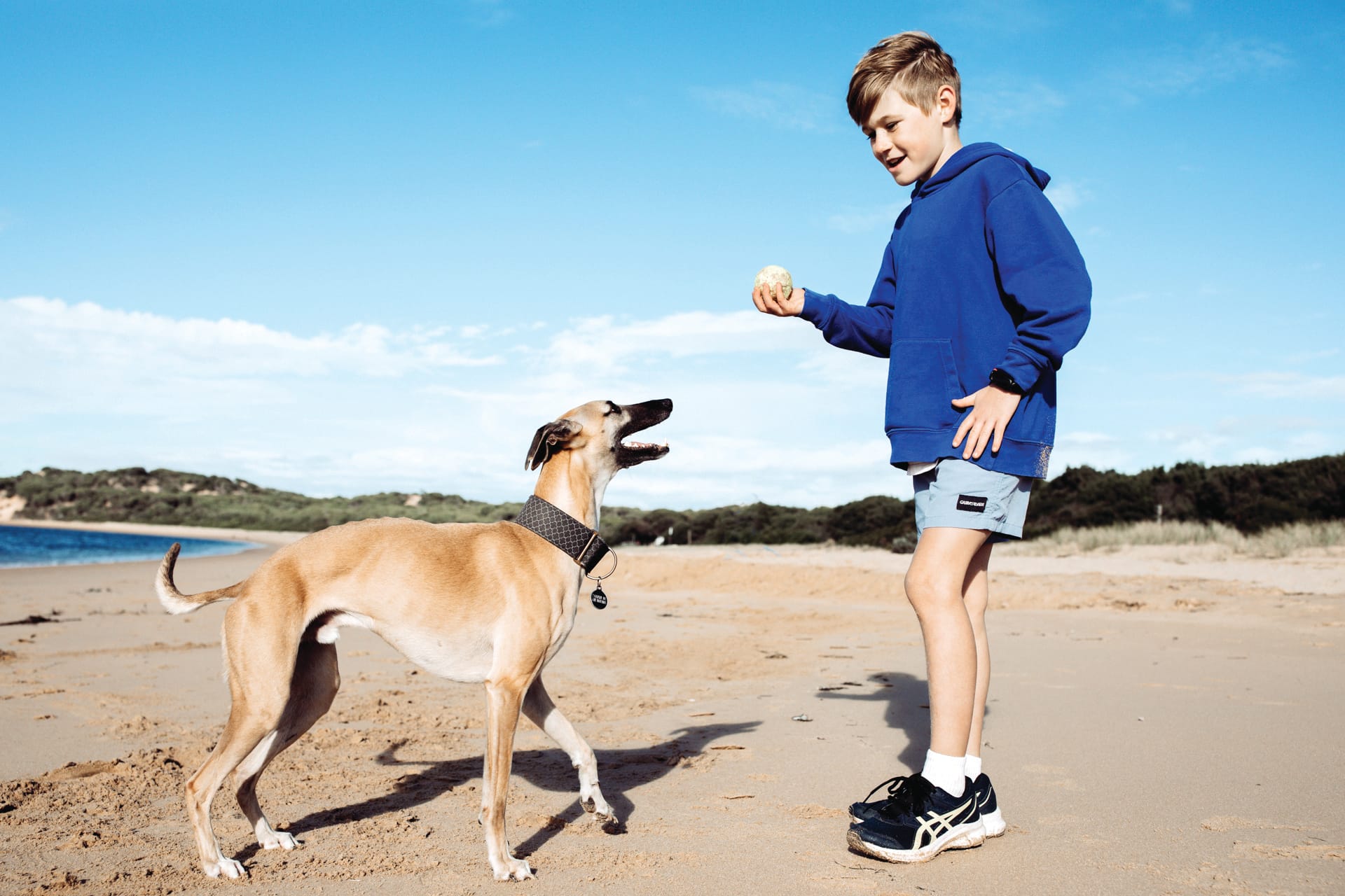 Barking up the wrong tree on dog park