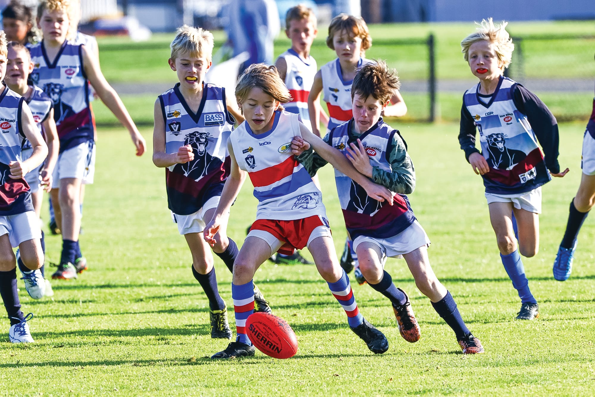 Junior footballers dominate - U10 Red