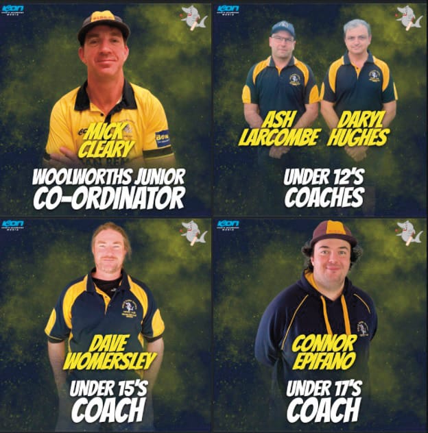 Island’s cricket coaching team revealed