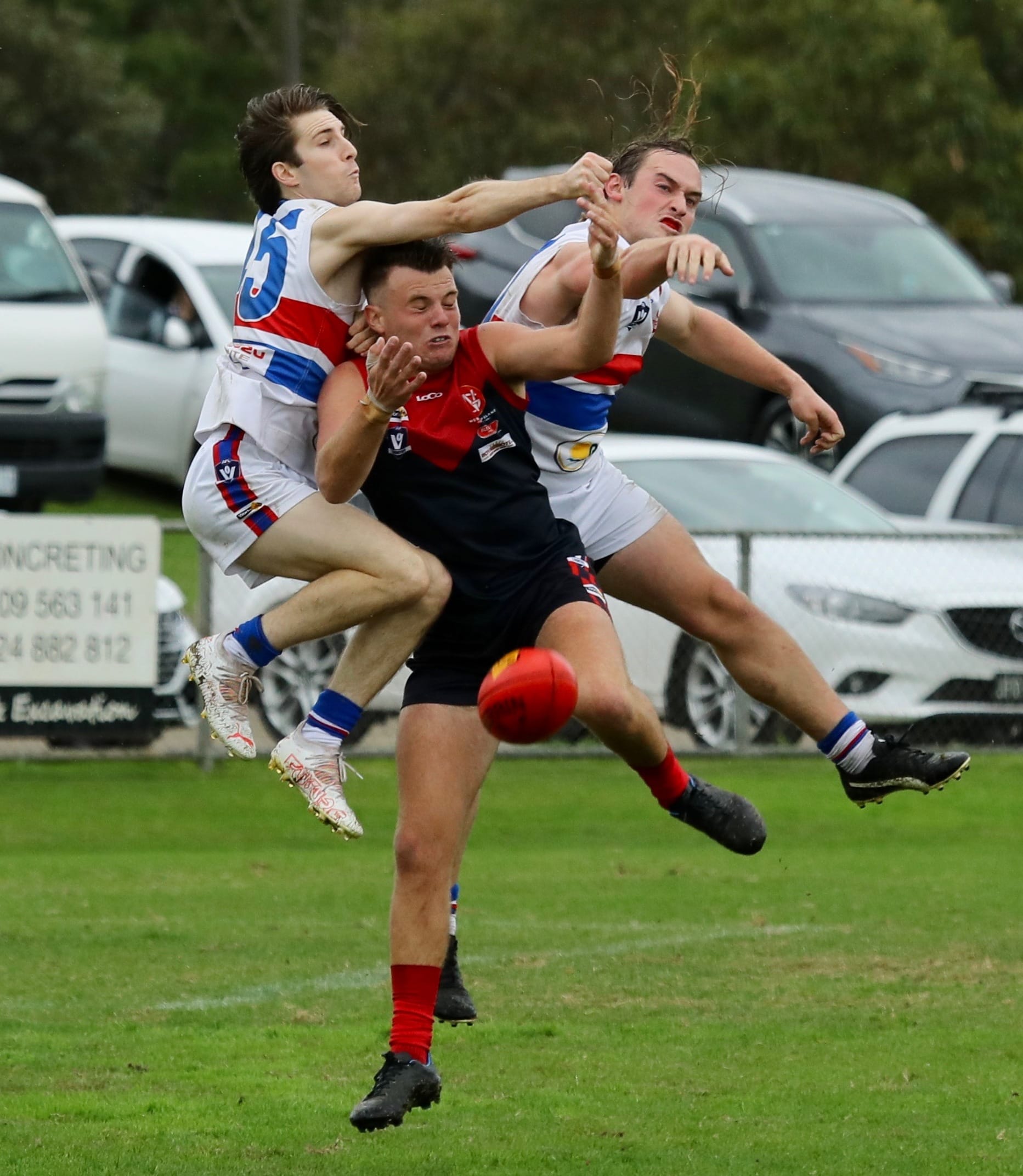 Young guns back in the Reserves