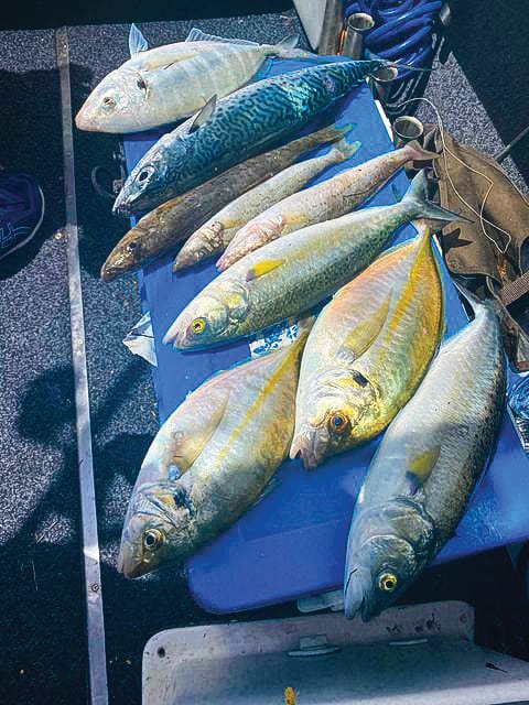 Around the Bay, with Jim’s Bait & Tackle