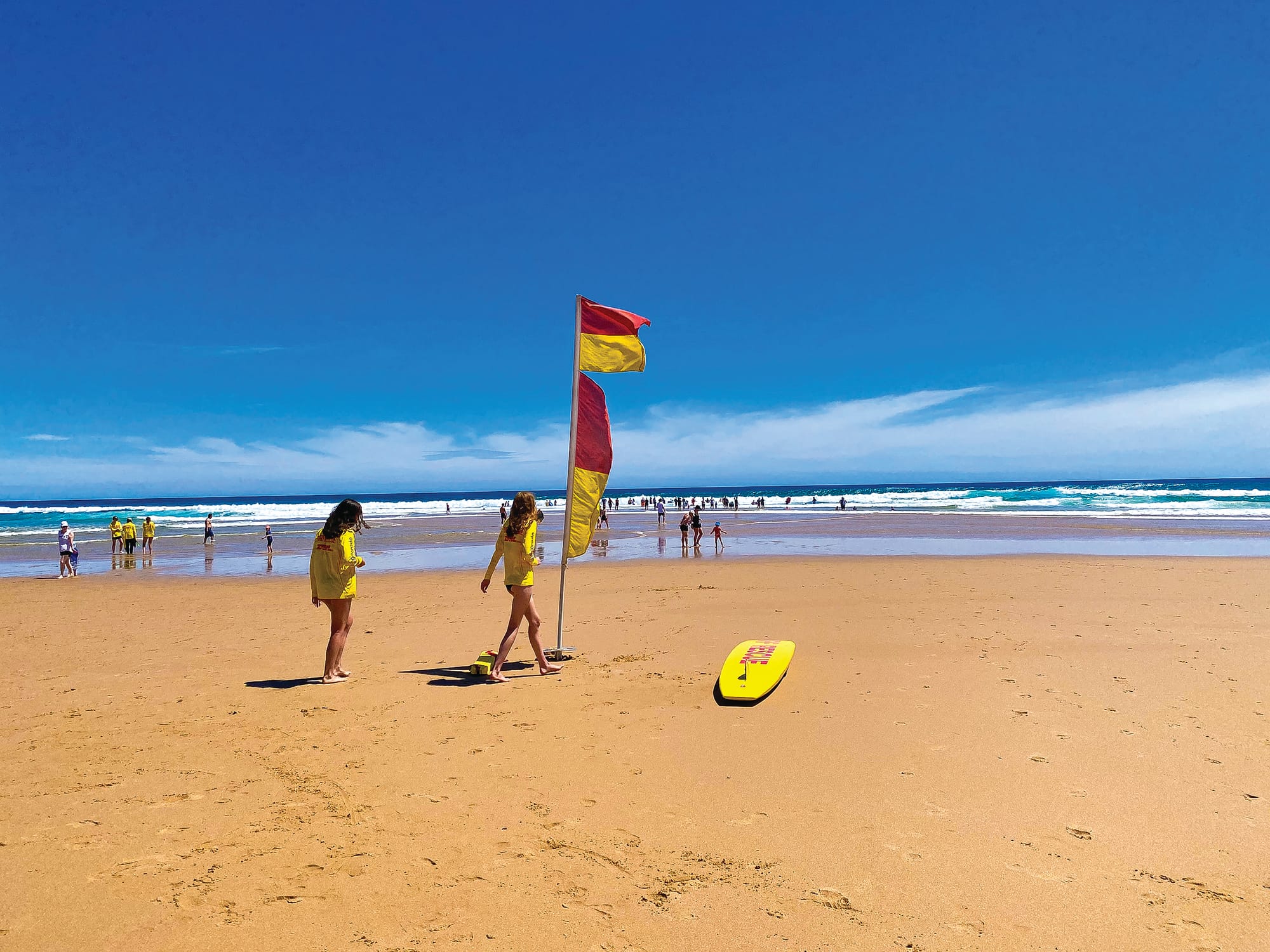 A life saving contribution