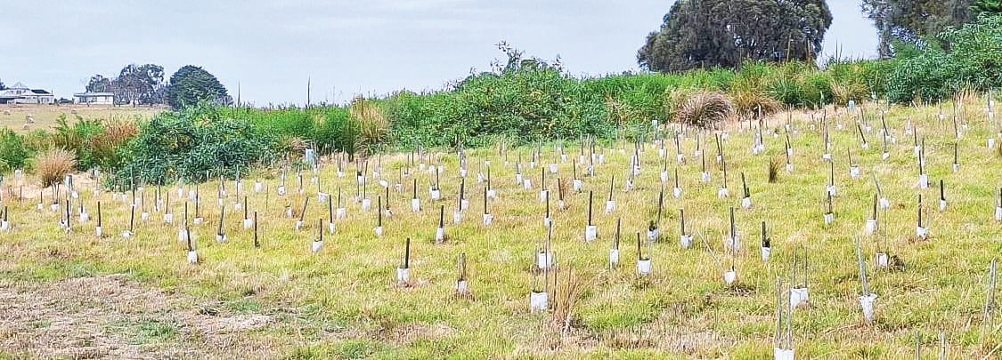 Applications now open for Rural Land Management Program