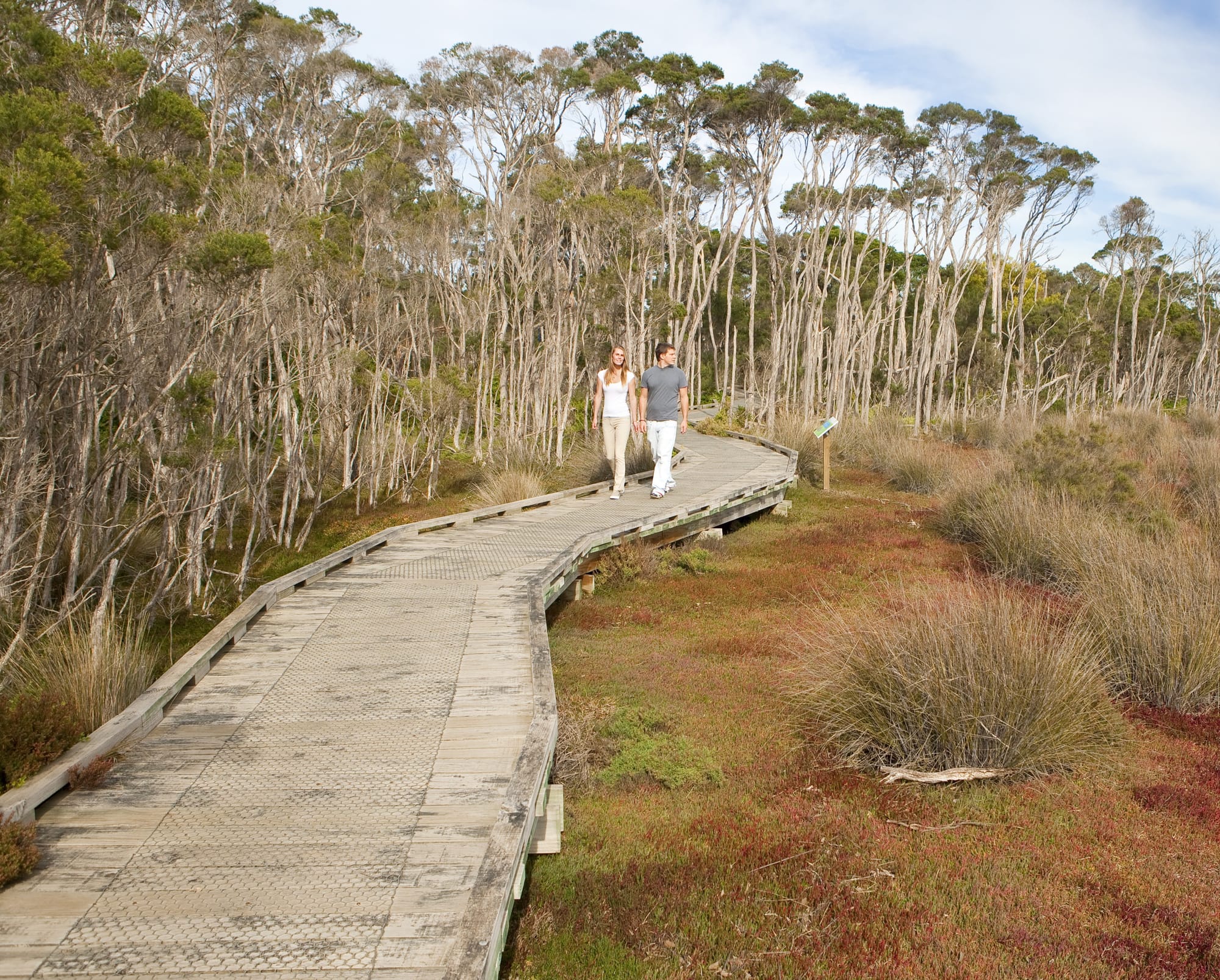 Rhyll Inlet boardwalk upgrade set to begin