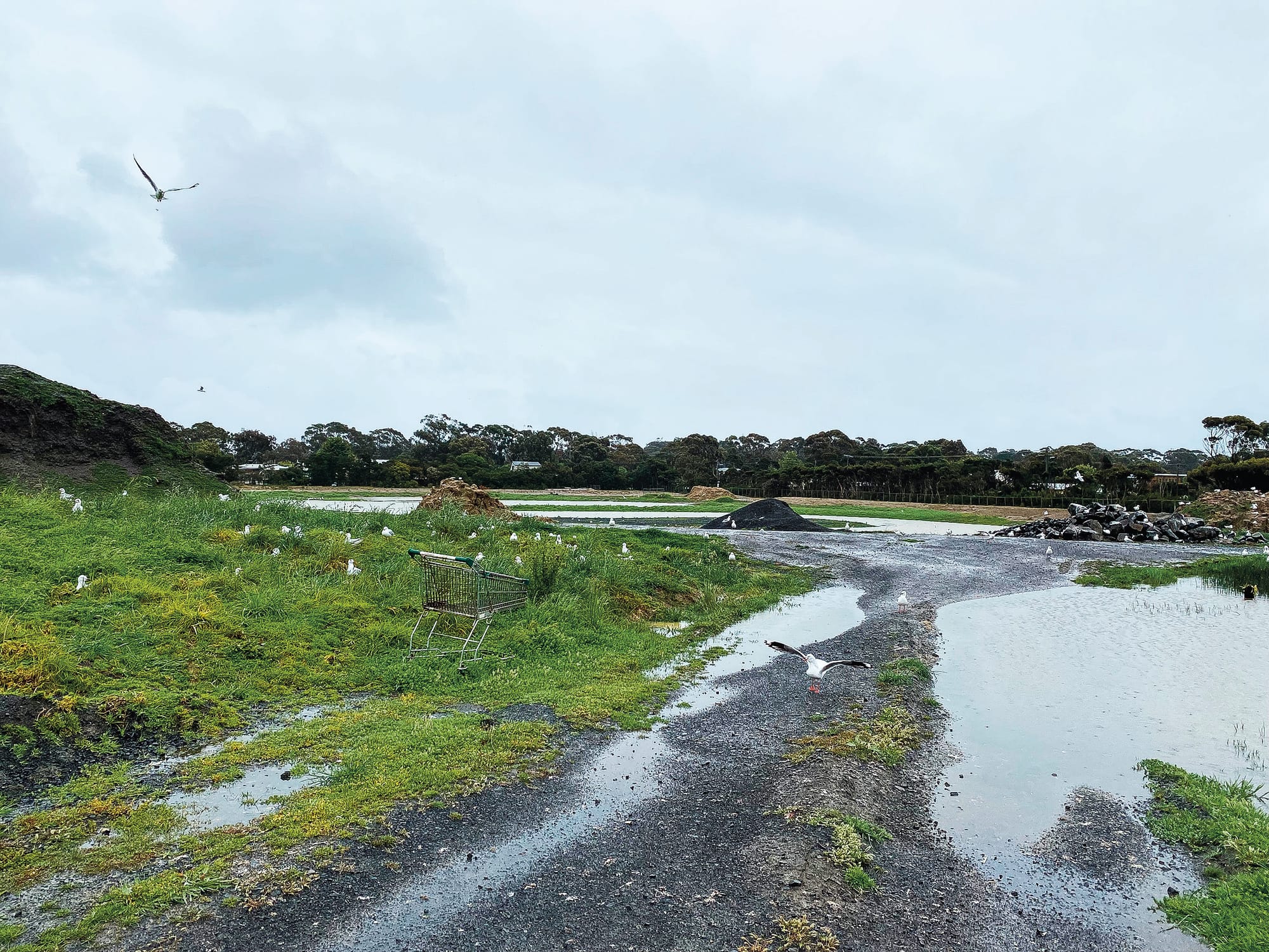 Wetlands in no-man’s land as residents call for action