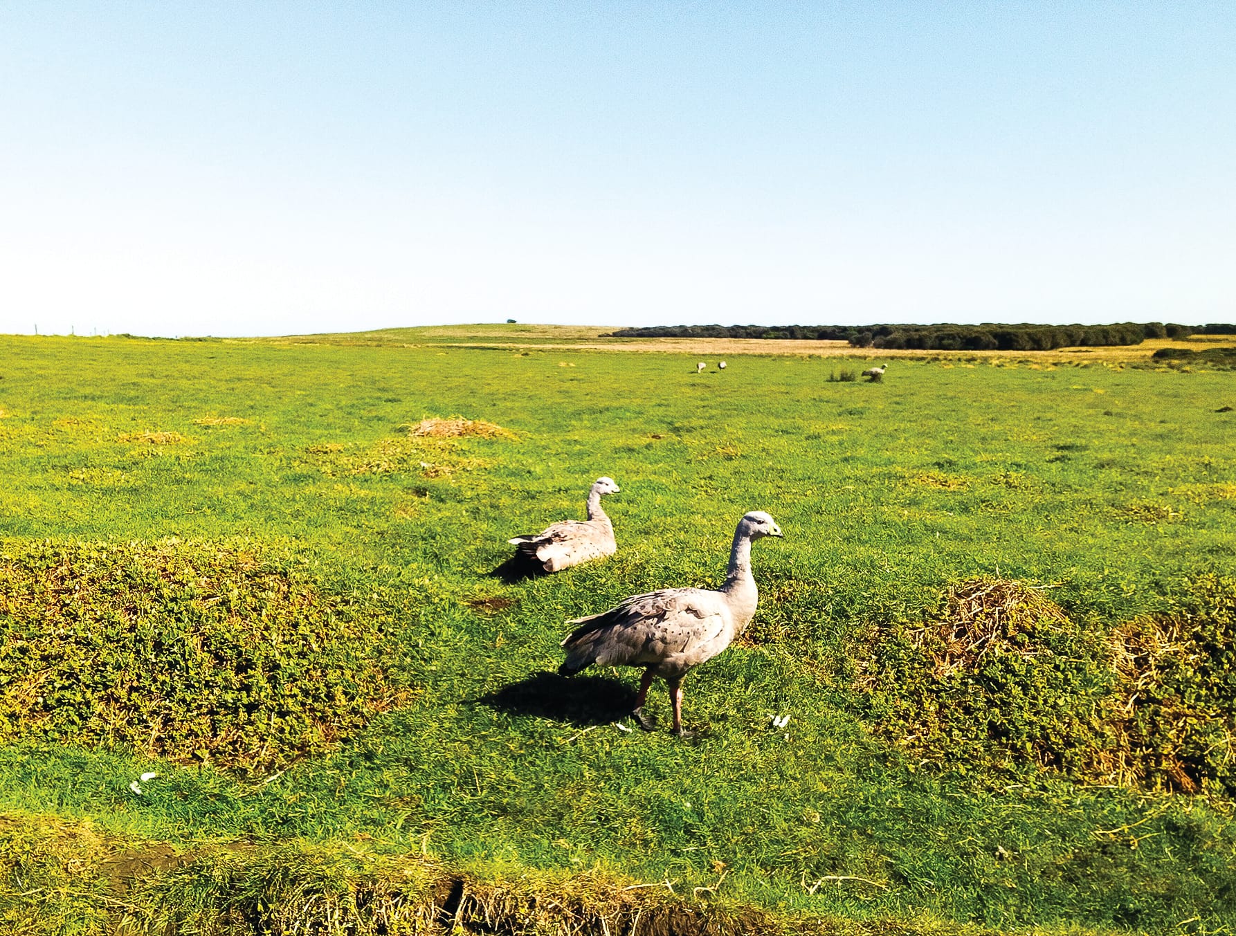 What does managing wildlife mean?