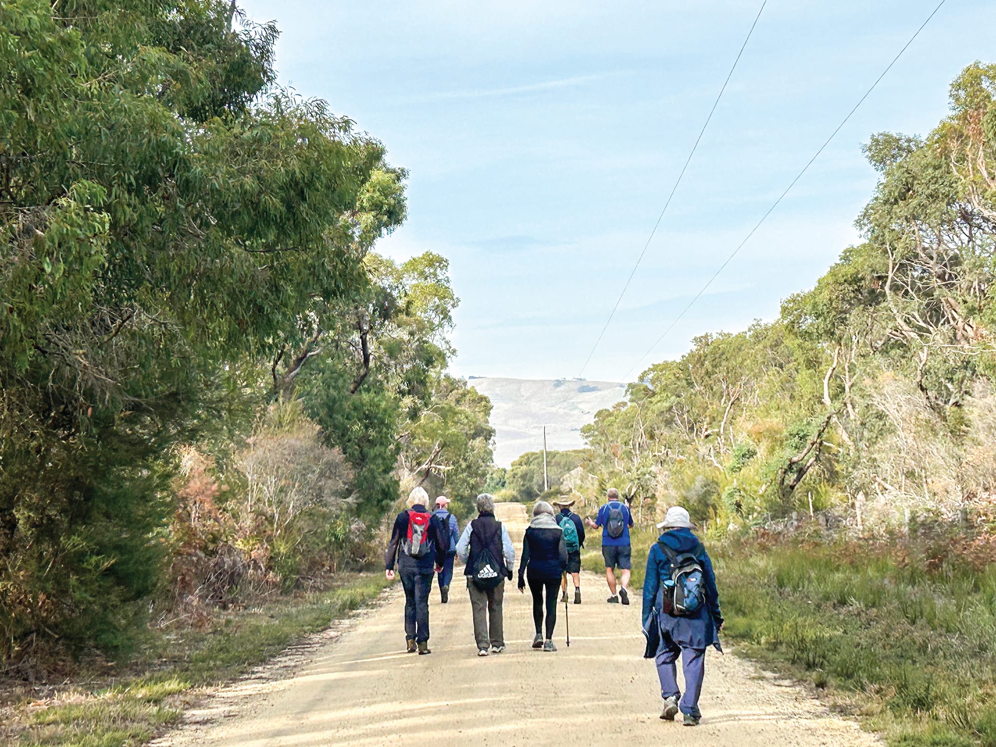 Give bushwalking a try