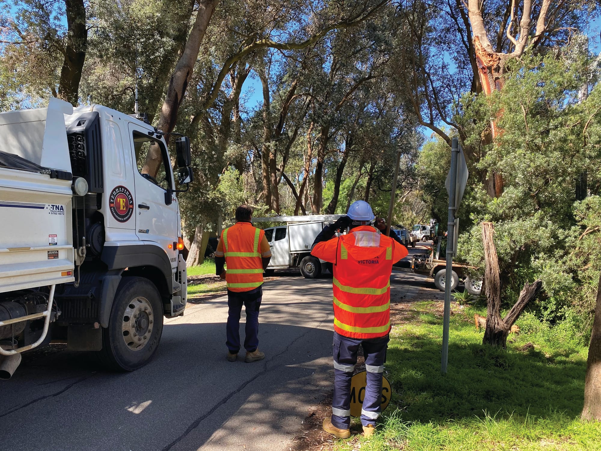 Traffic stopper in Silverleaves