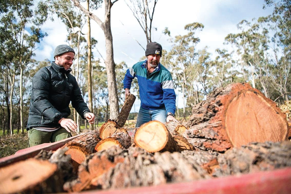 Collection areas open in state forests
