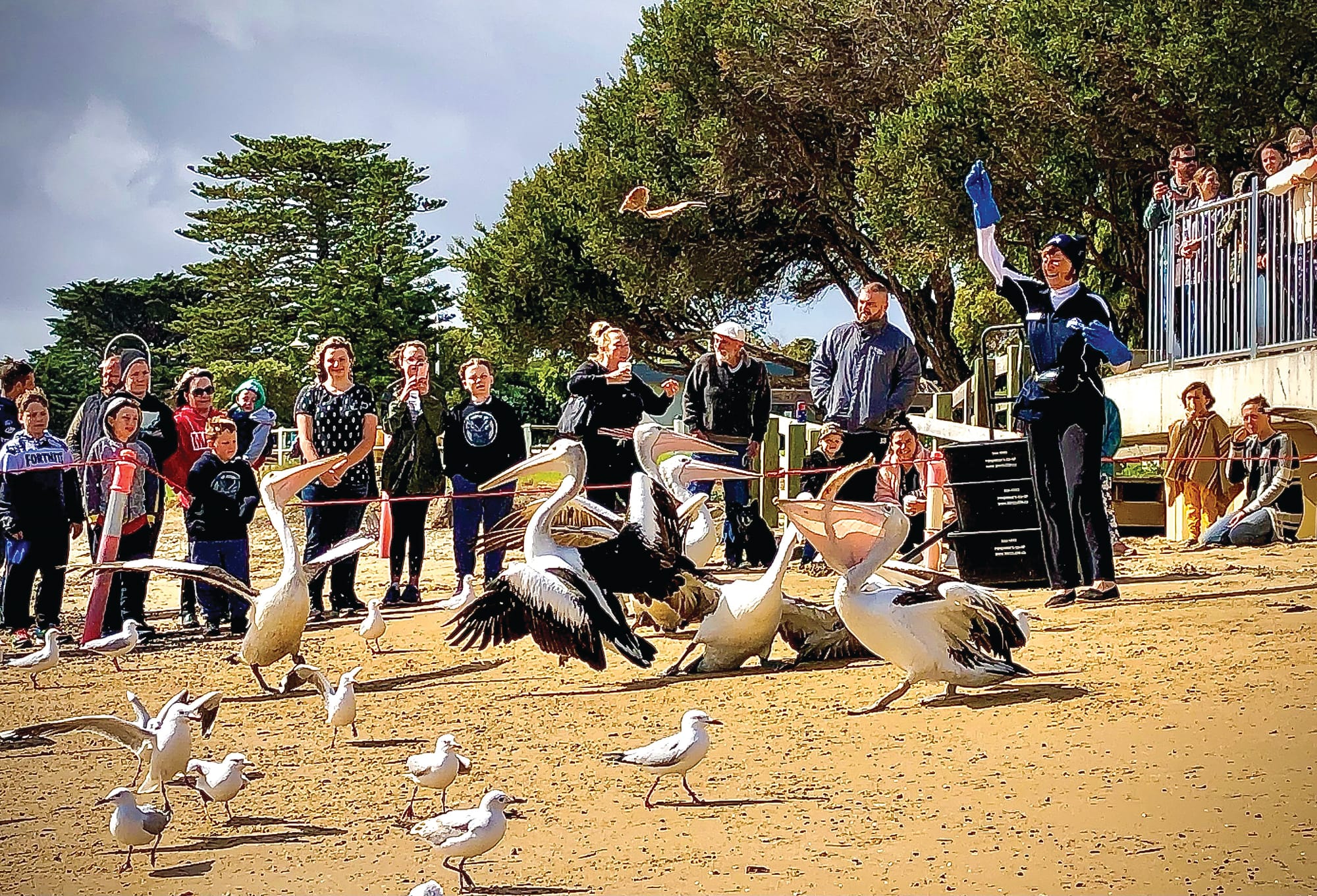 Dining returns – for pelican and Co-op customers