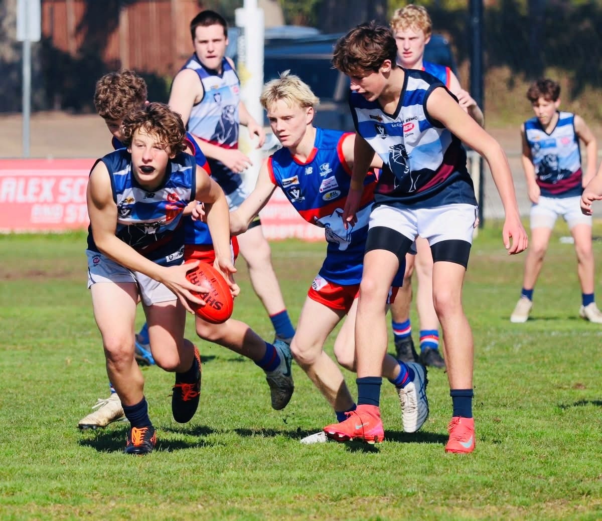 Solid efforts and steady growth for Killy Bass Juniors
