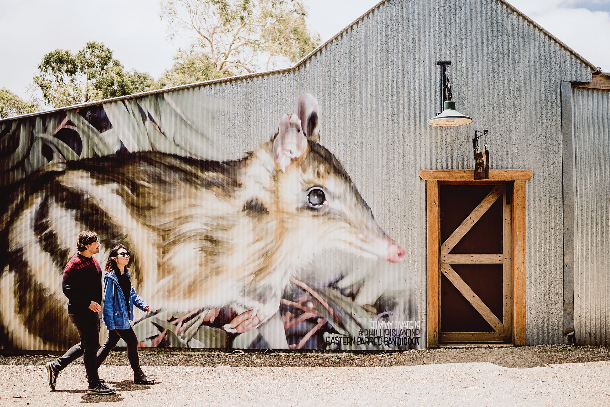 Guided tours with iconic animals this summer