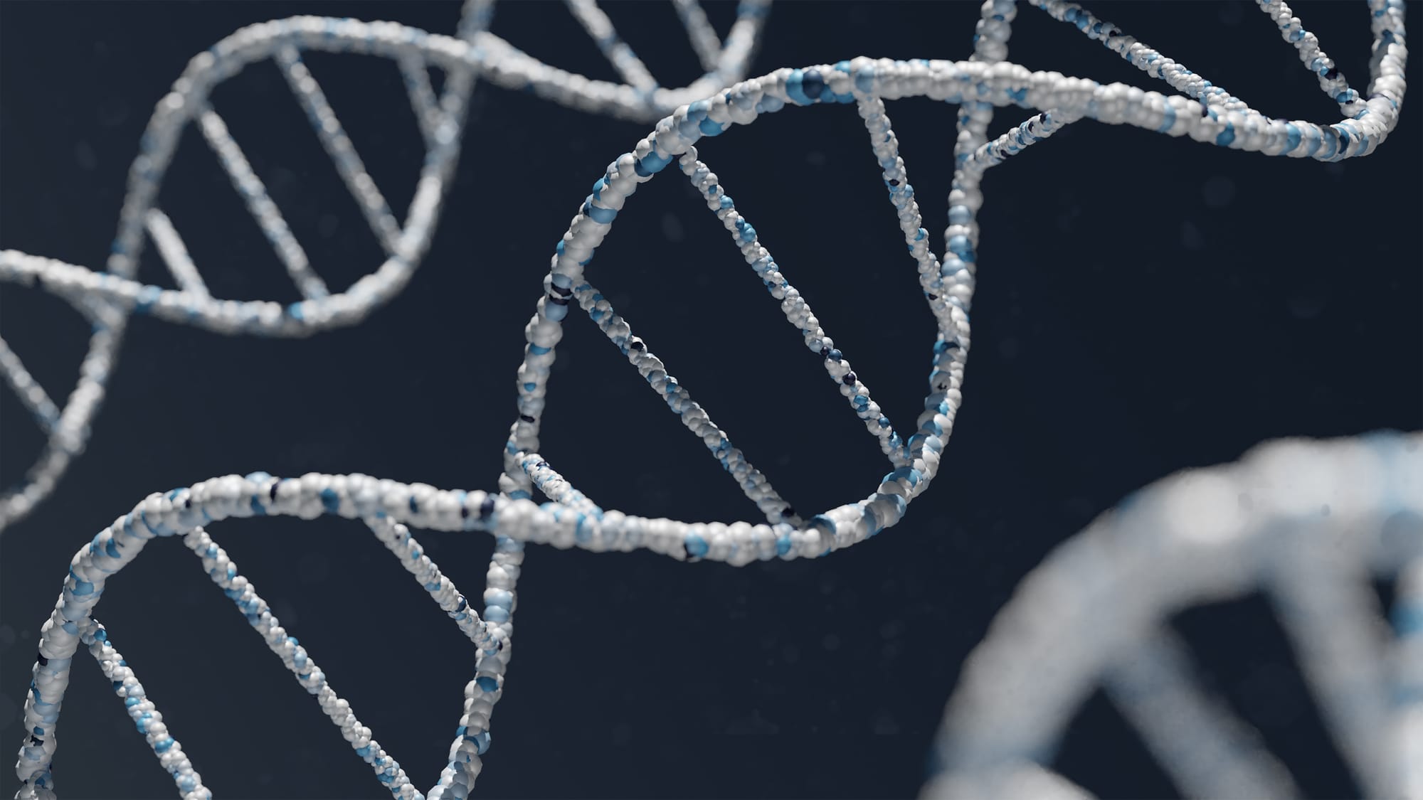DNA analysis points to accused