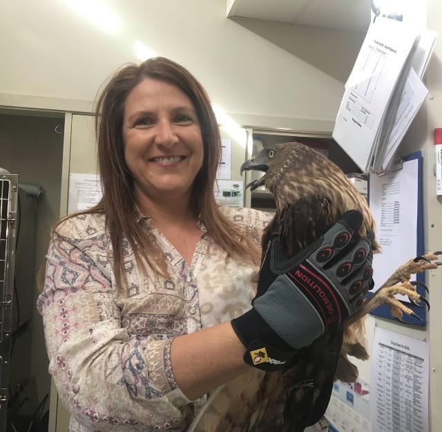 First hint Nature Parks will boost wildlife rescues