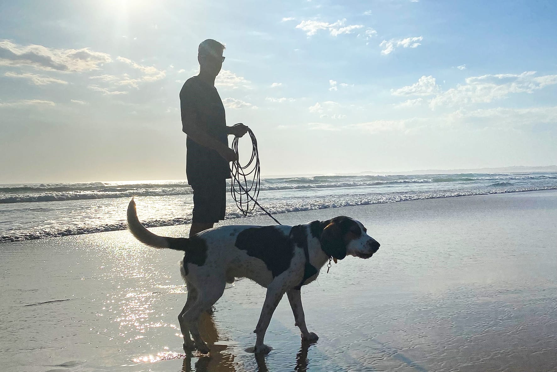 Summer dog fines