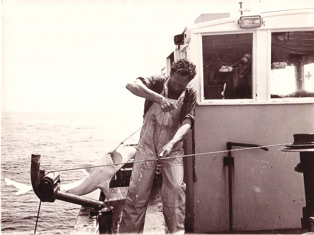Vale: Ray Dickie