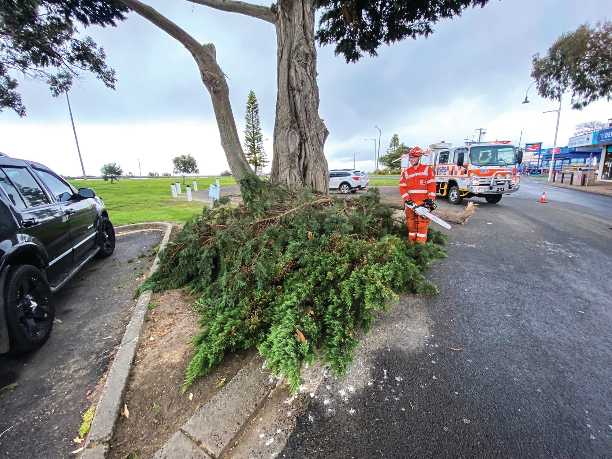 Branch down during Monday’s storms