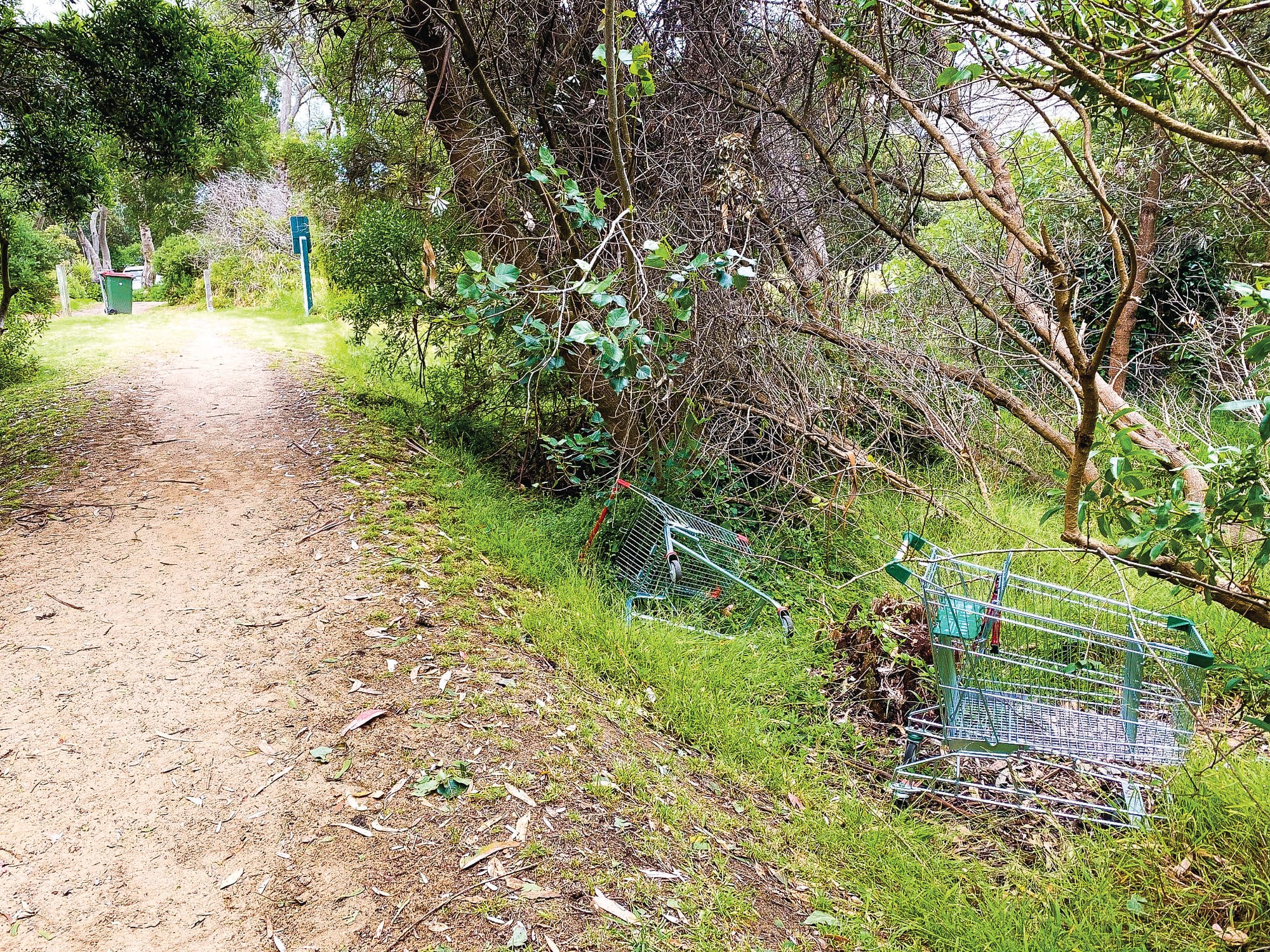 Schoolie trolley folly