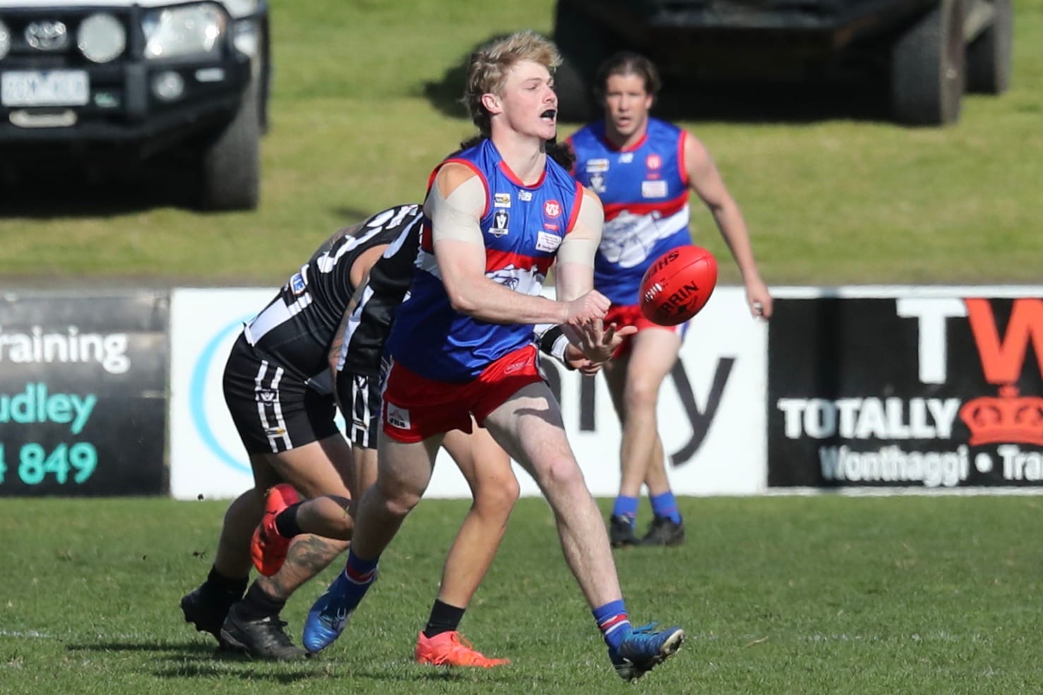 R.17 Seniors v DALYSTON 2025