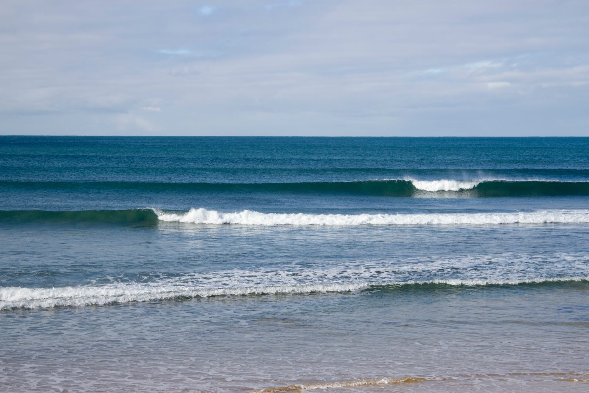 Longboard titles move to Bellarine and Surf Coast