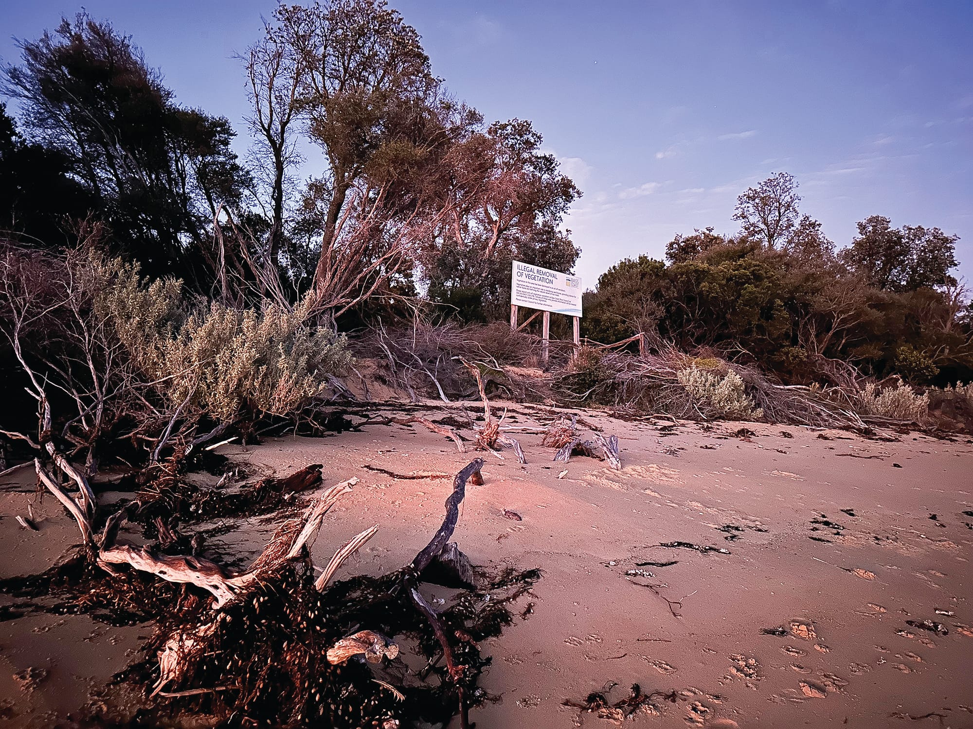 Community responds to erosion "emergency"