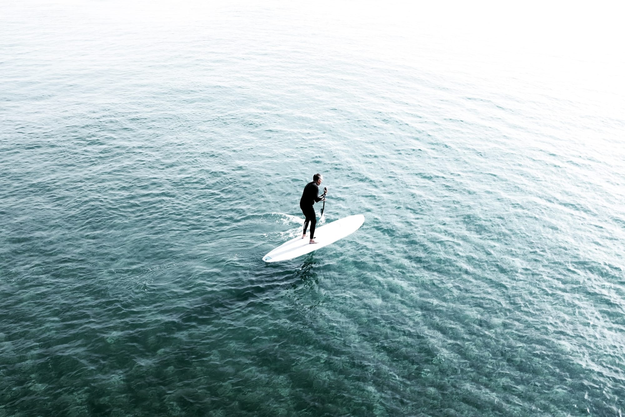 Close call for paddleboarder